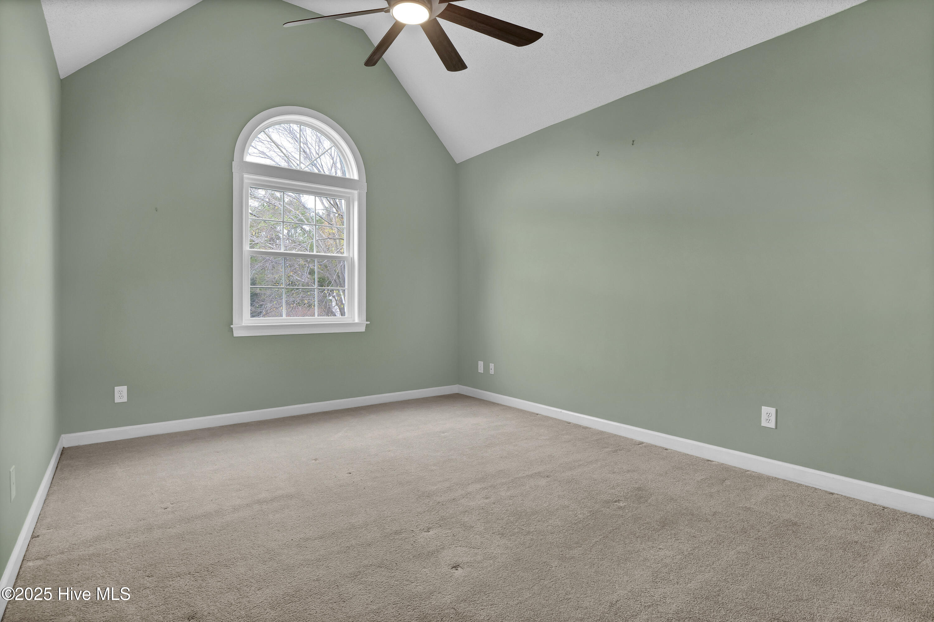 100543498 | Photo 38