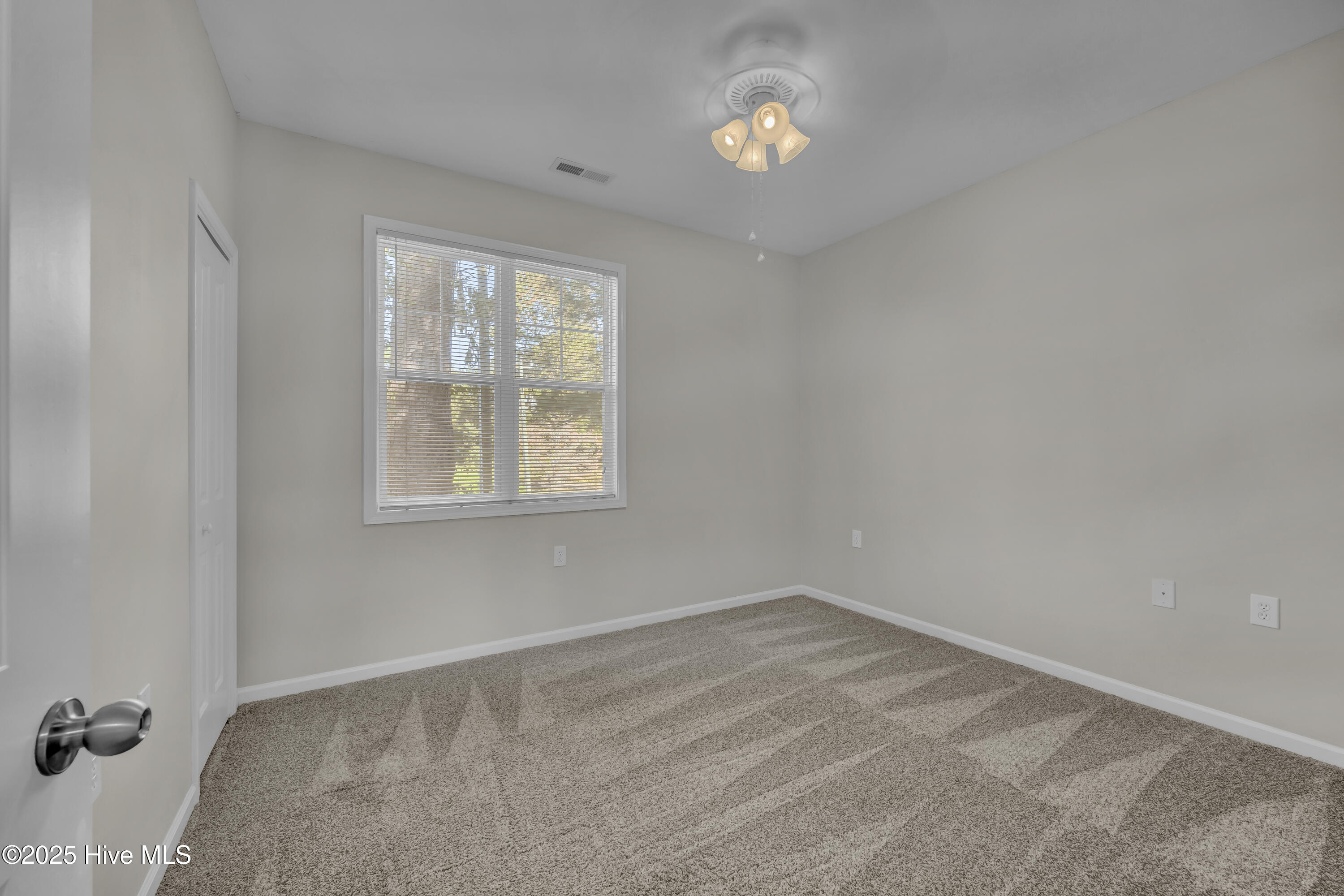 100538265 | Photo 11