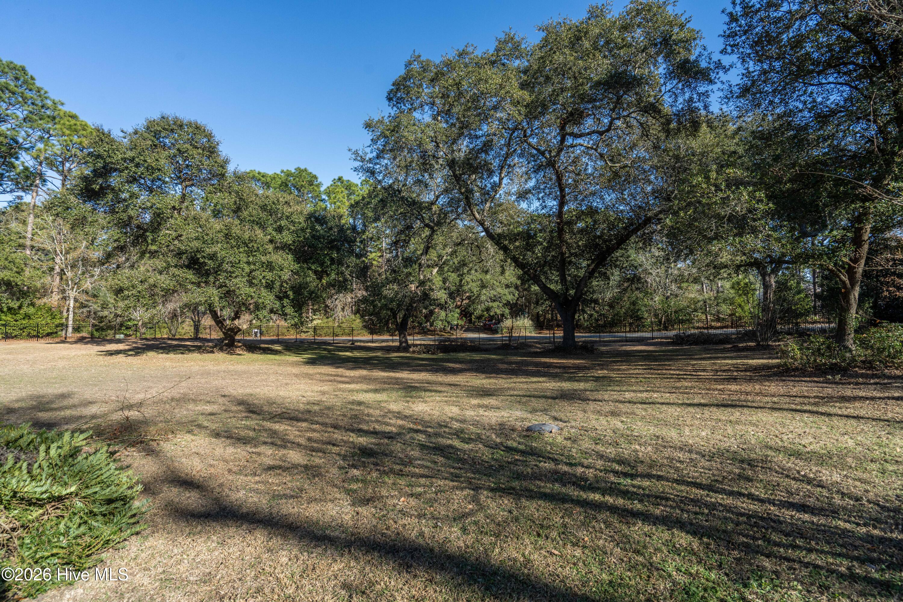 100548733 | Photo 40