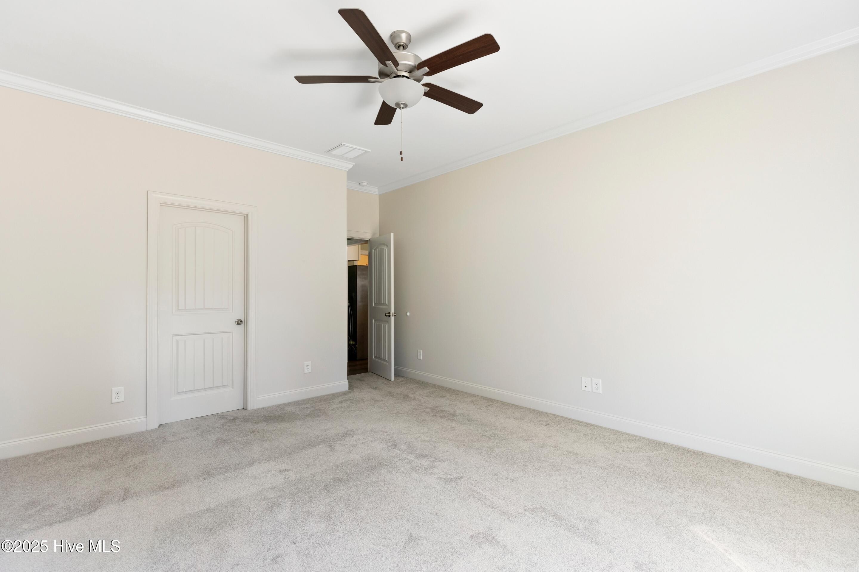 100529568 | Photo 32