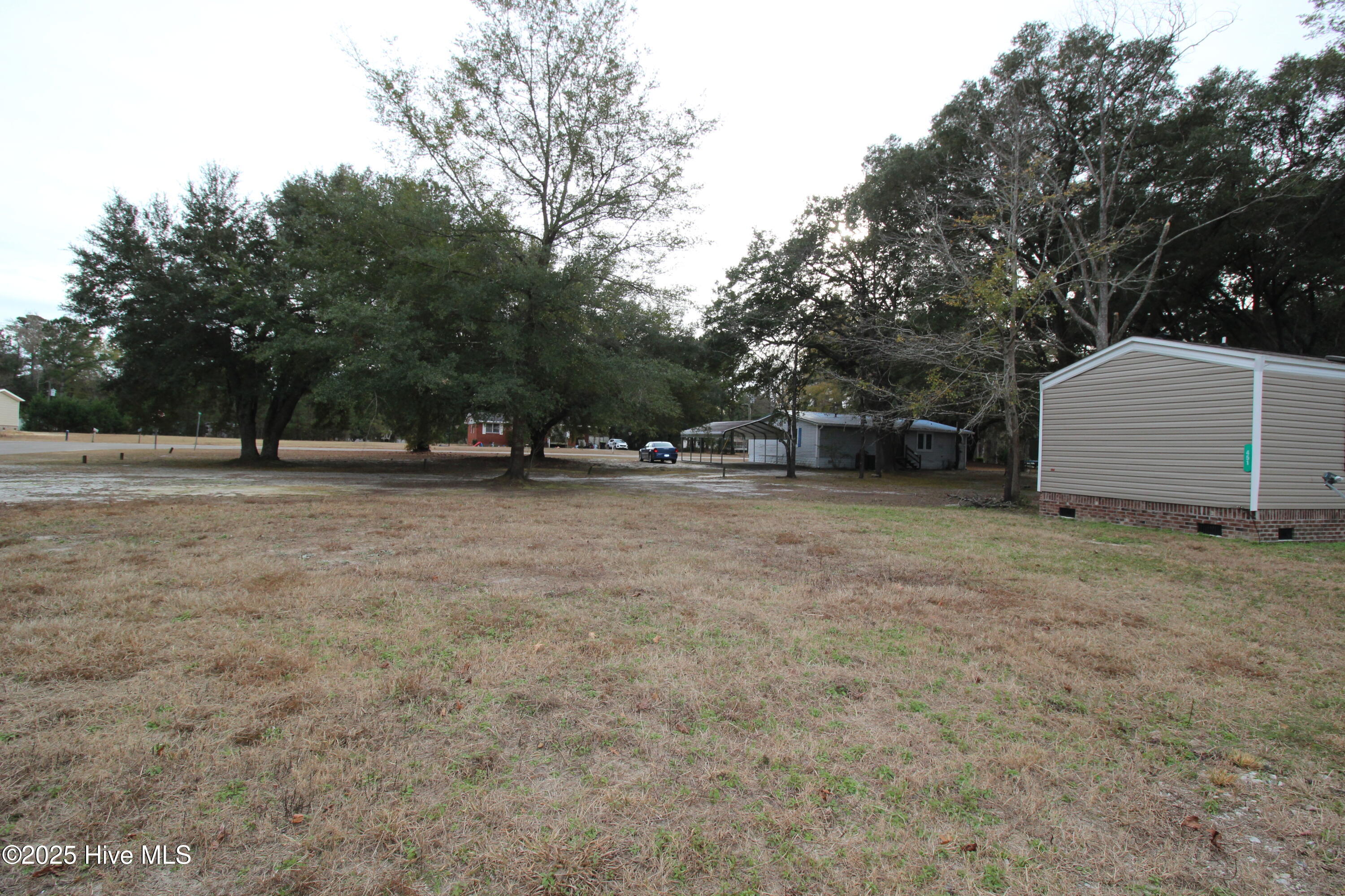 100548481 | Photo 35