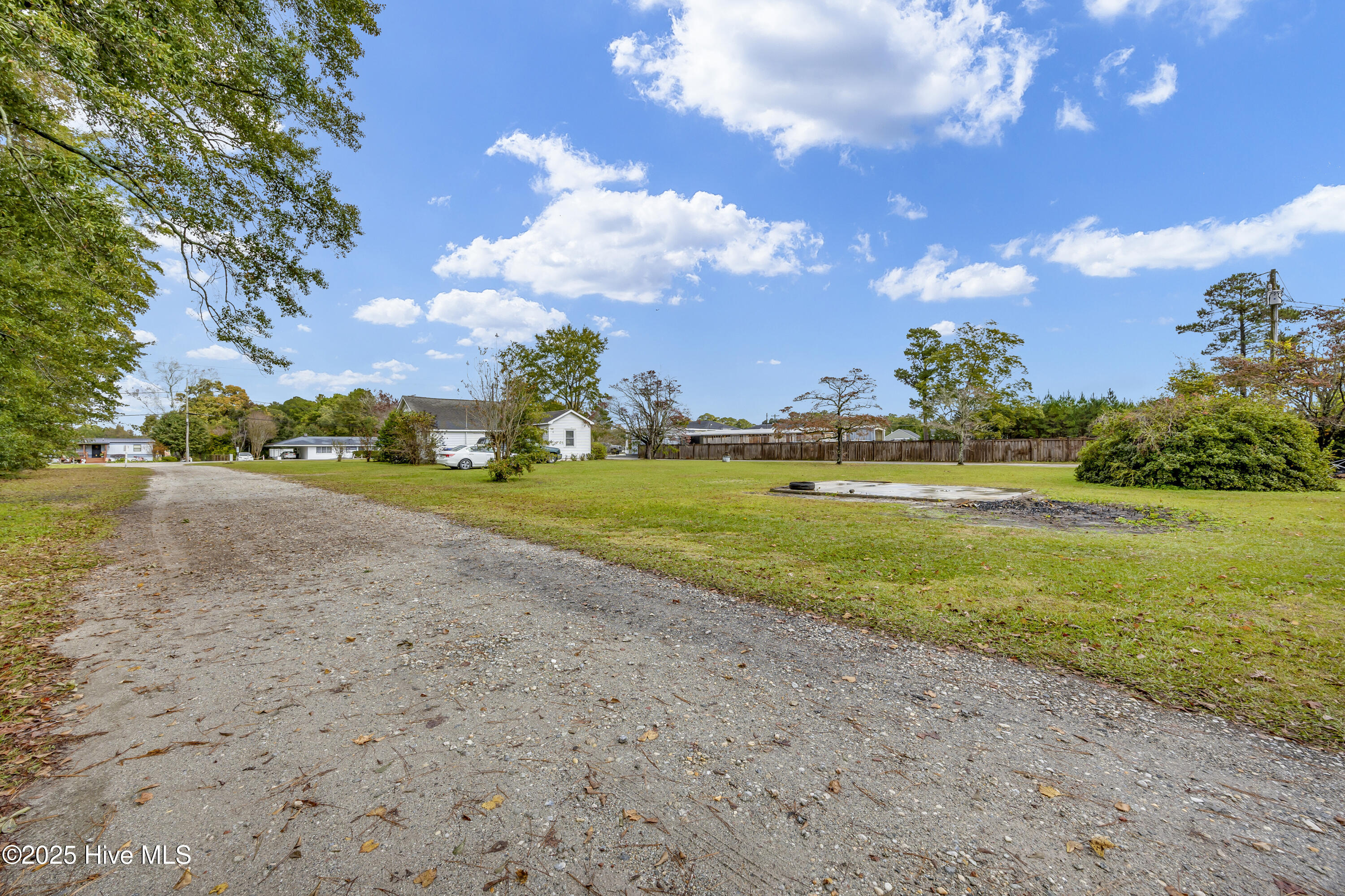 100539441 | Photo 12