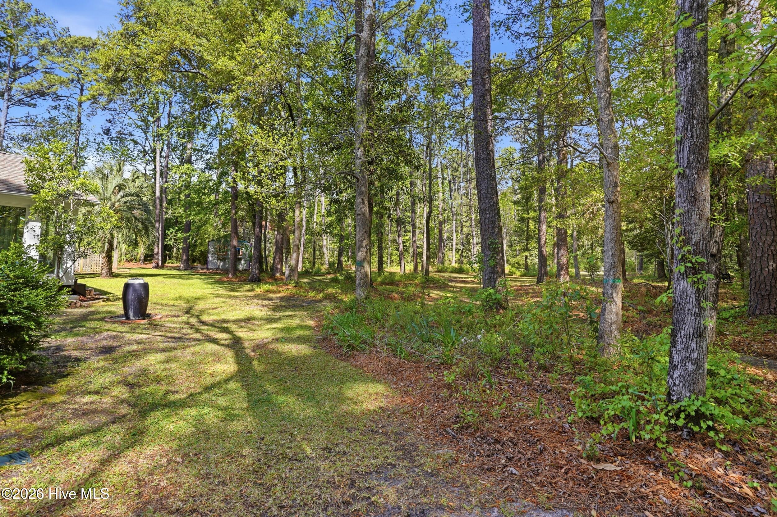 100570431 | Photo 49