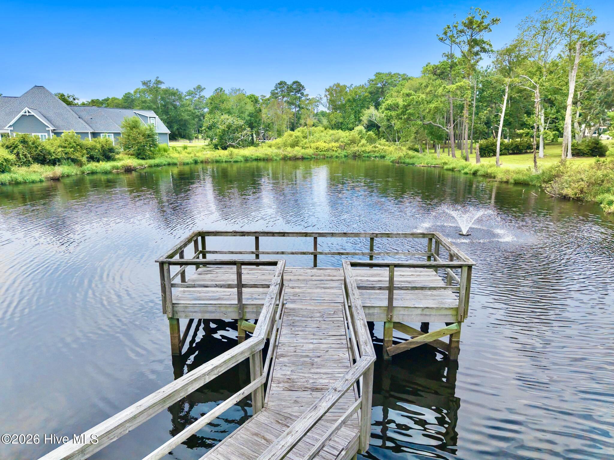 100530218 | Photo 56