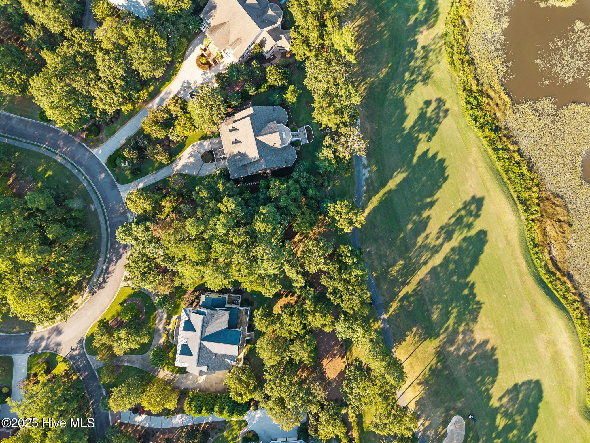 100560685 | Photo 17