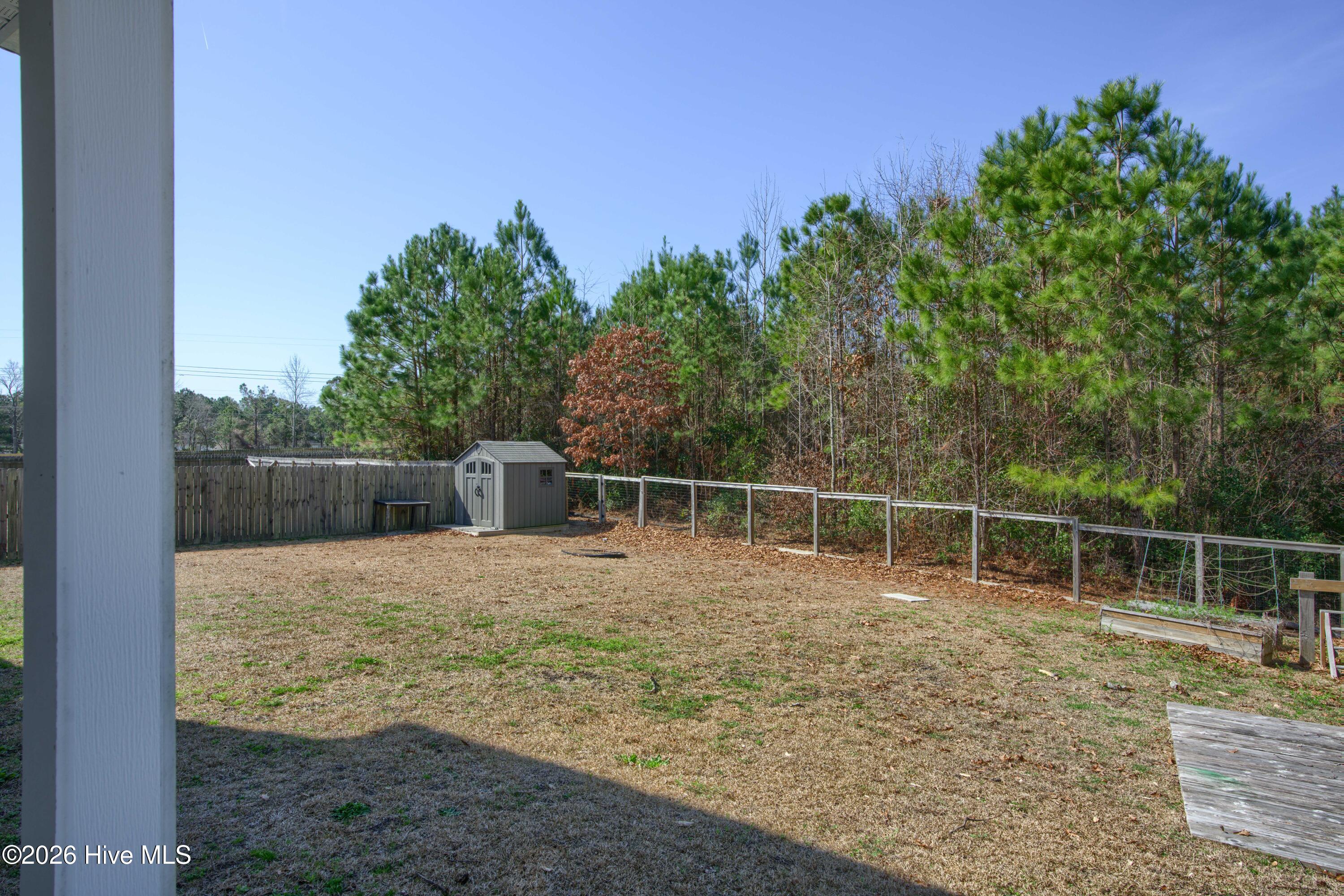 100558349 | Photo 23