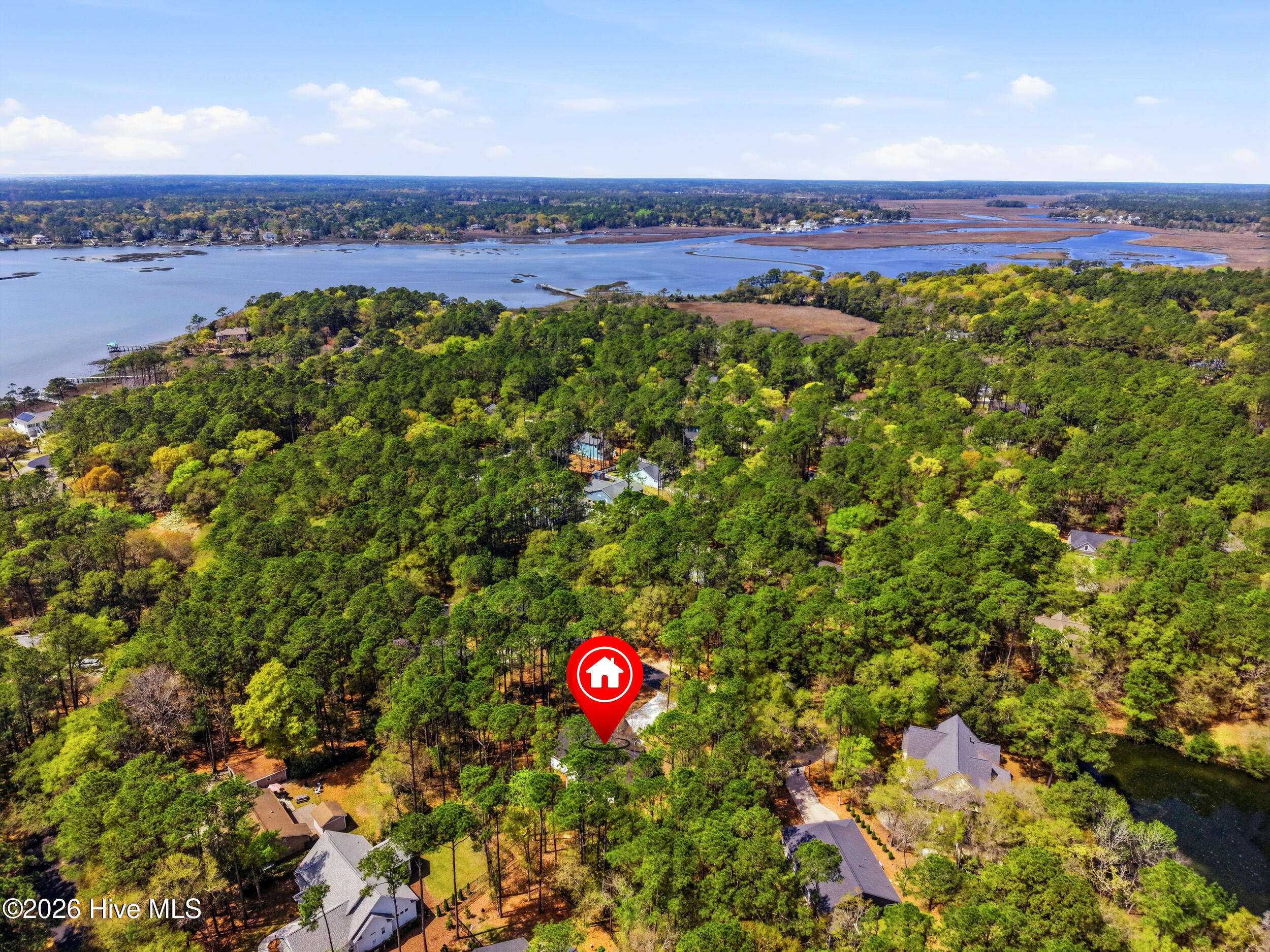 100556928 | Photo 49