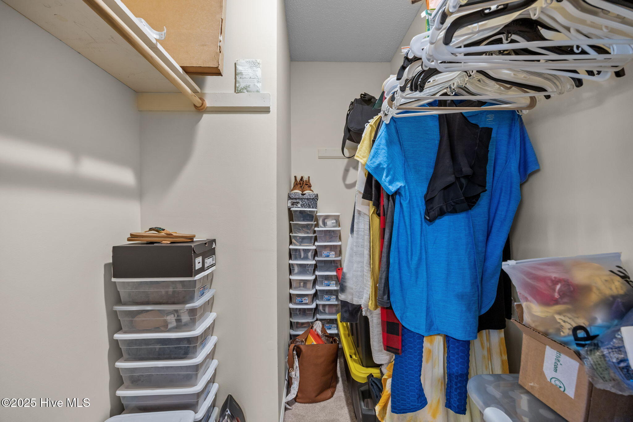 100515251 | Photo 10