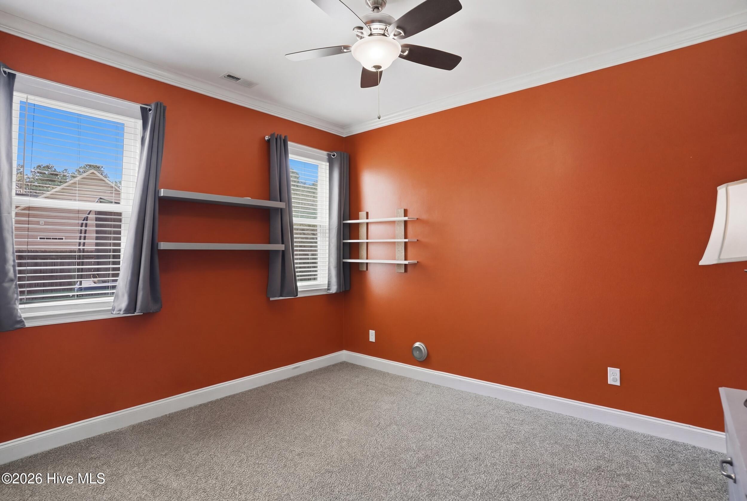 100562435 | Photo 19