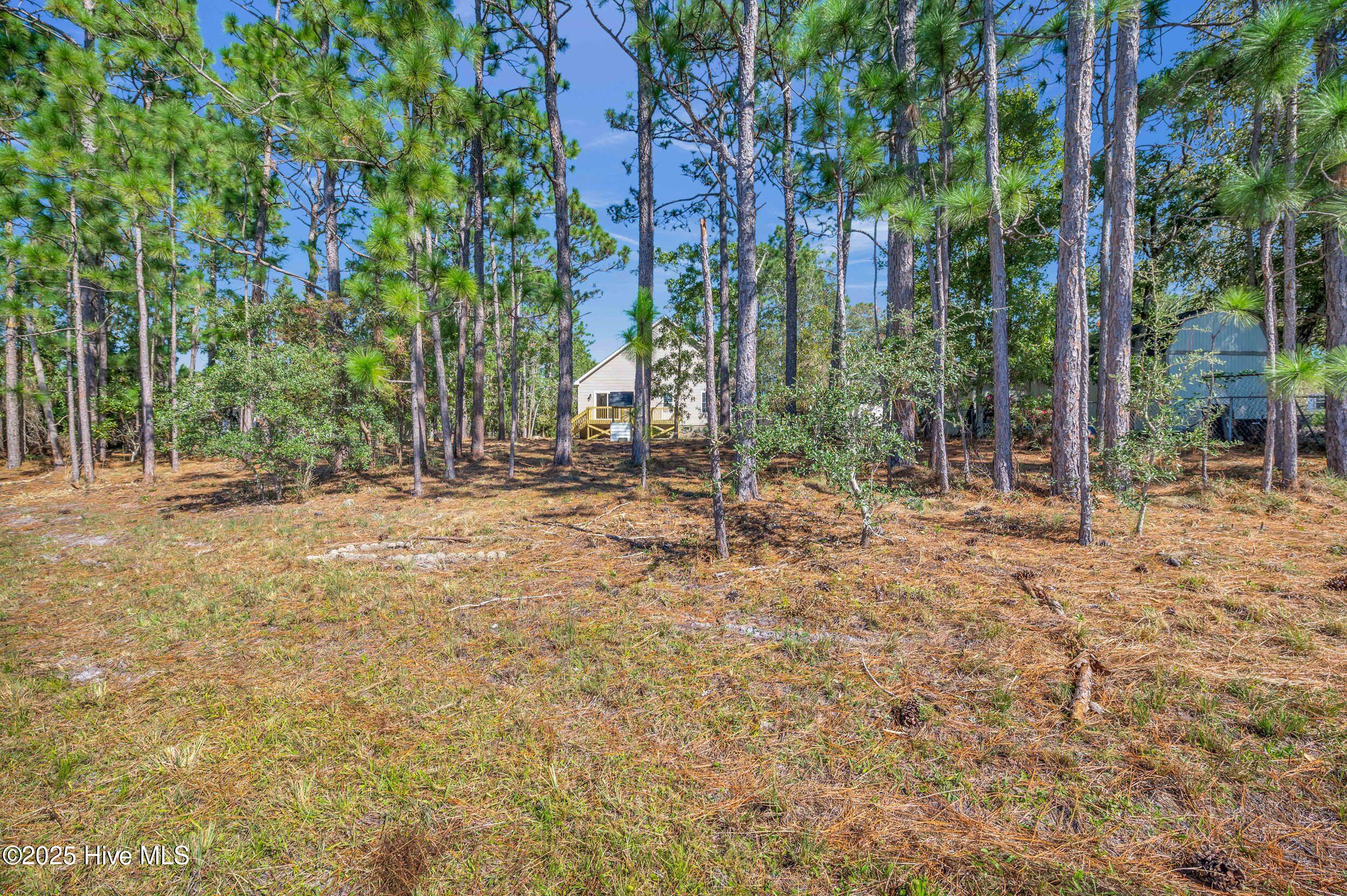 100537986 | Photo 42