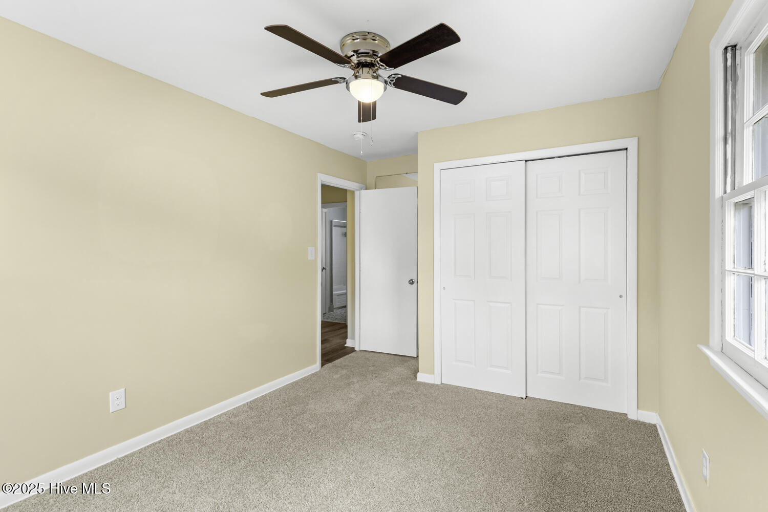 100534316 | Photo 34