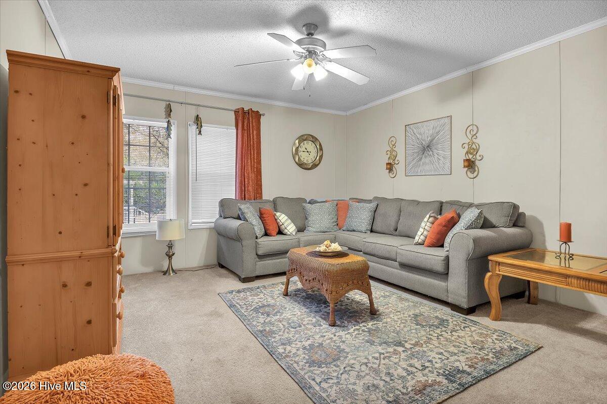 100554513 | Photo 34