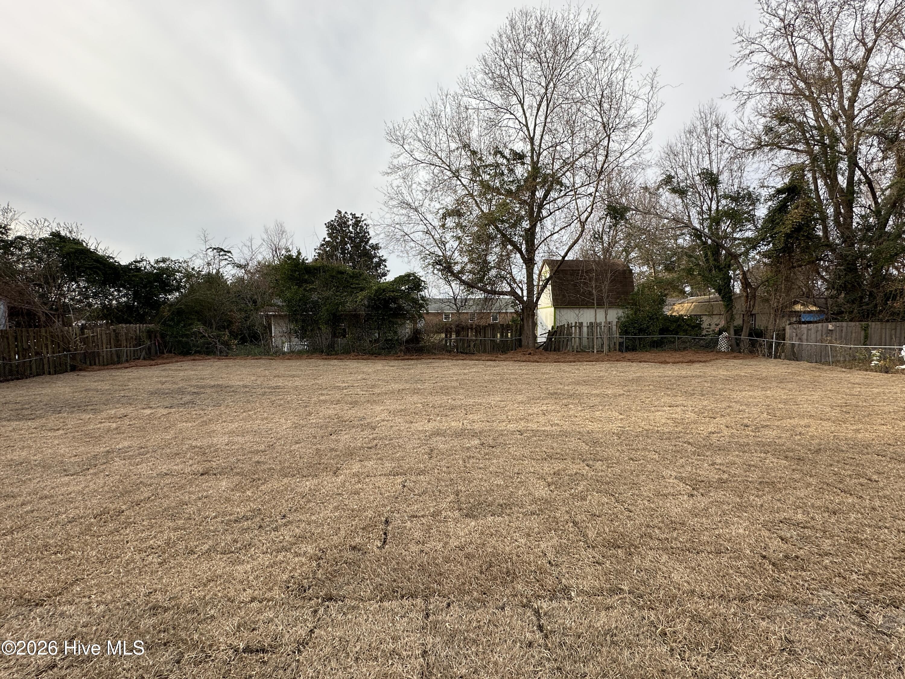 100538321 | Photo 12