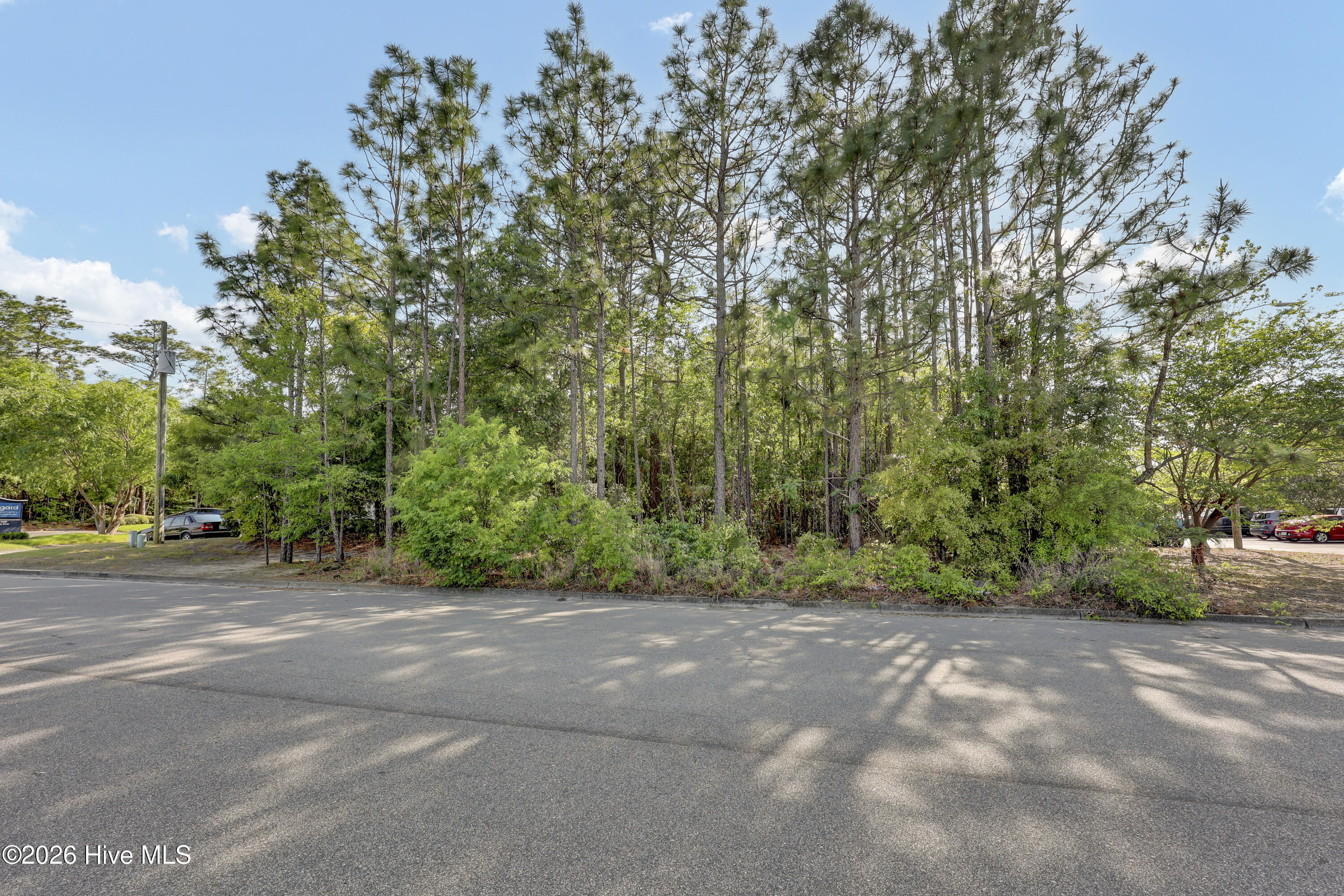 100567472 | Photo 17