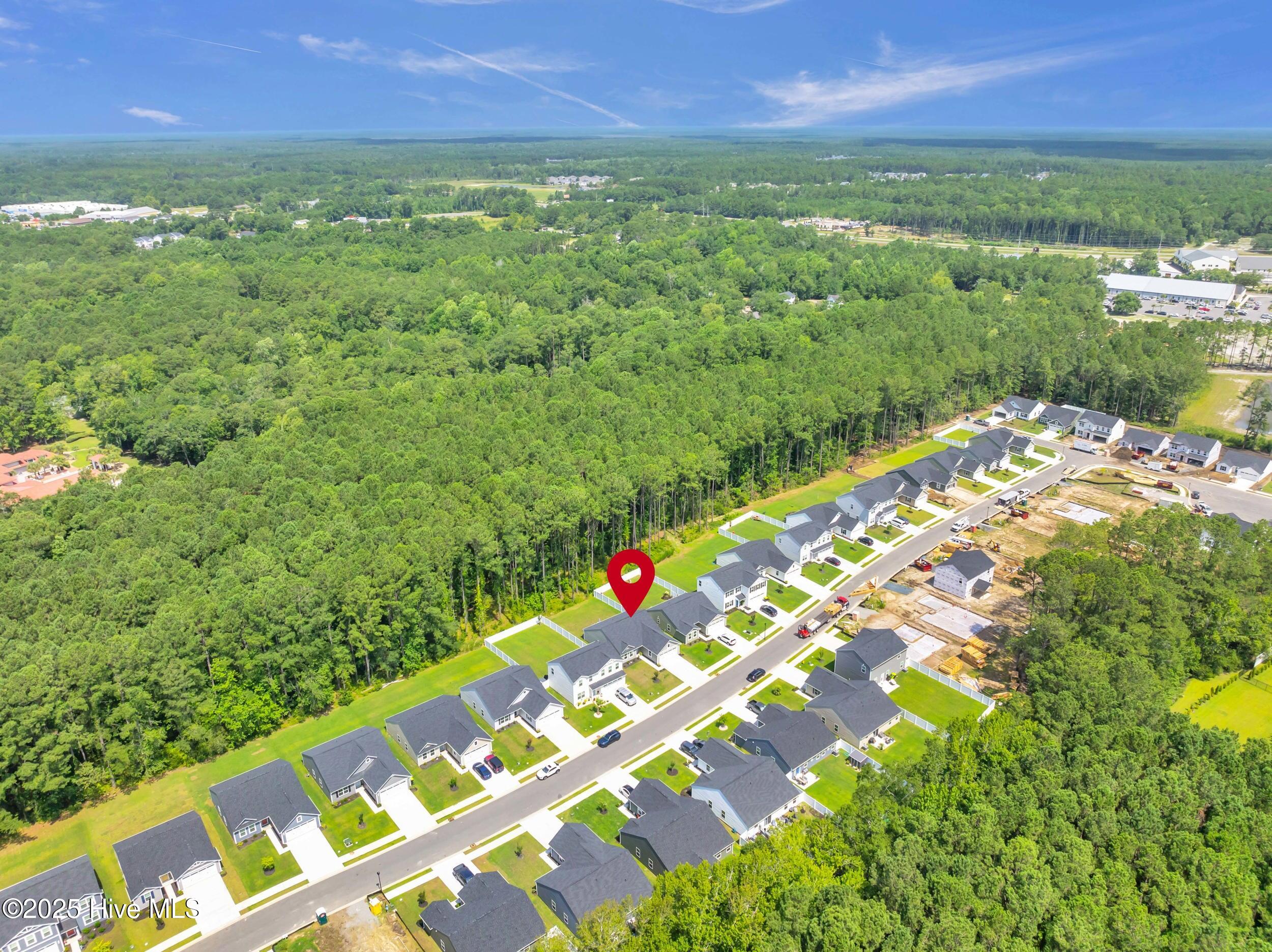 100570488 | Photo 35