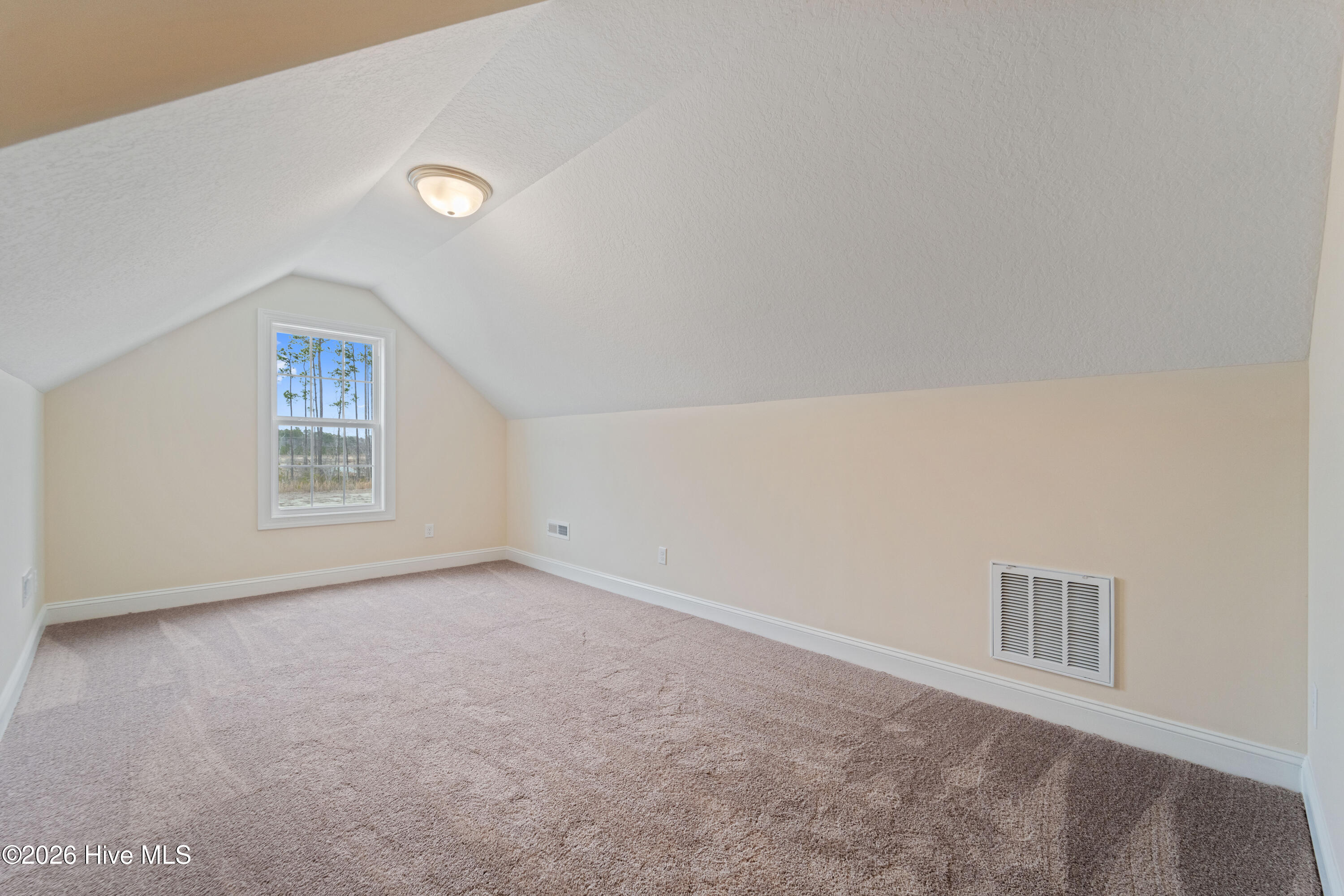 100526959 | Photo 26