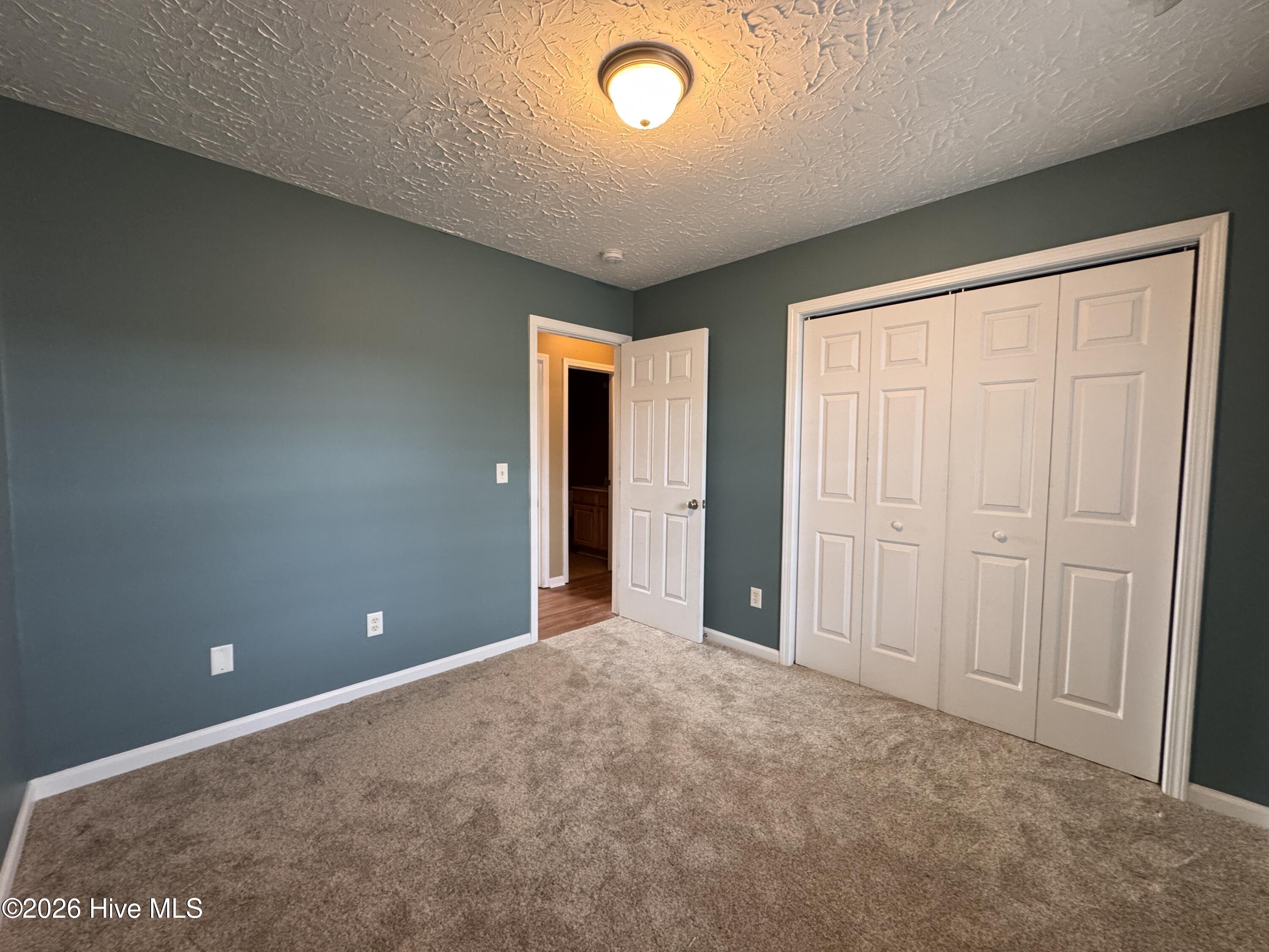 100556334 | Photo 17