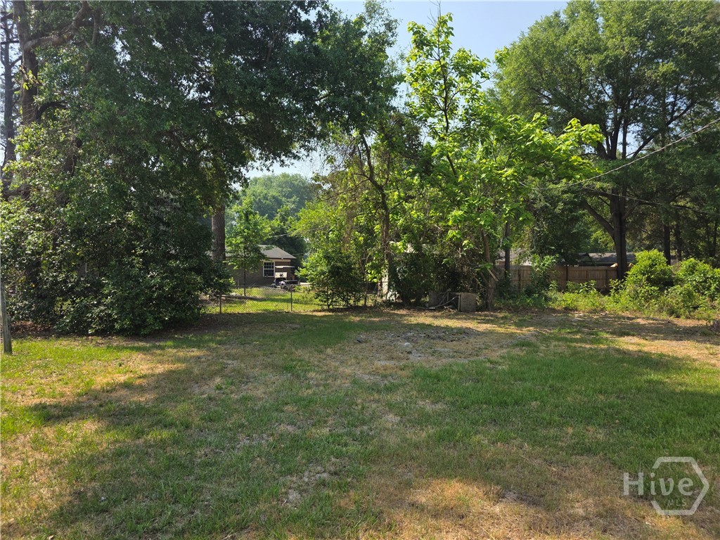 309 E Third Street, Springfield, GA, 31329