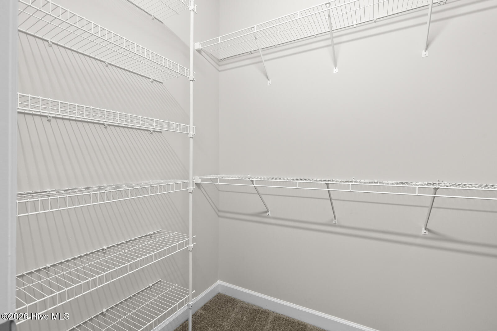 100553181 | Photo 20