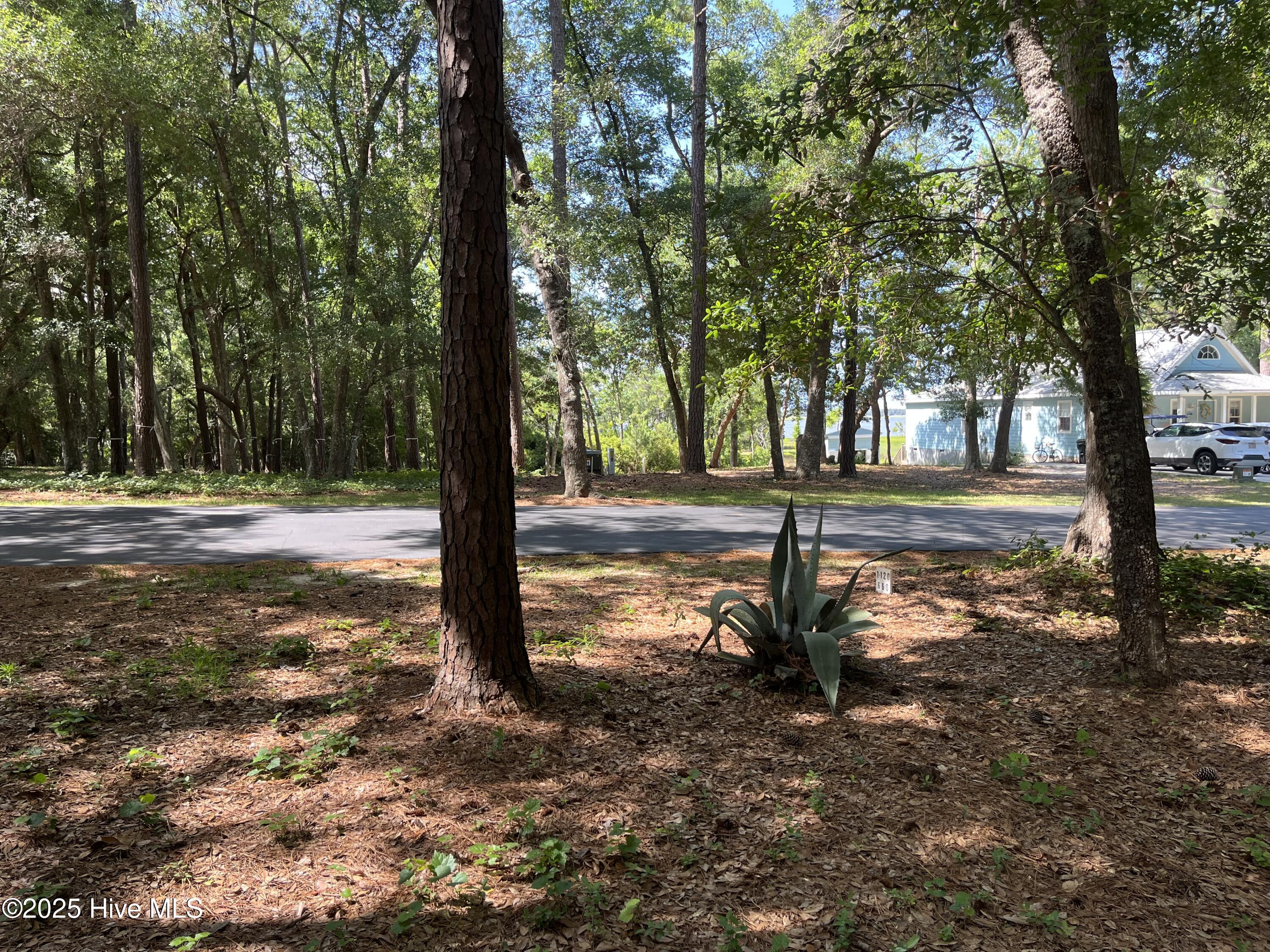 100516761 | Photo 10