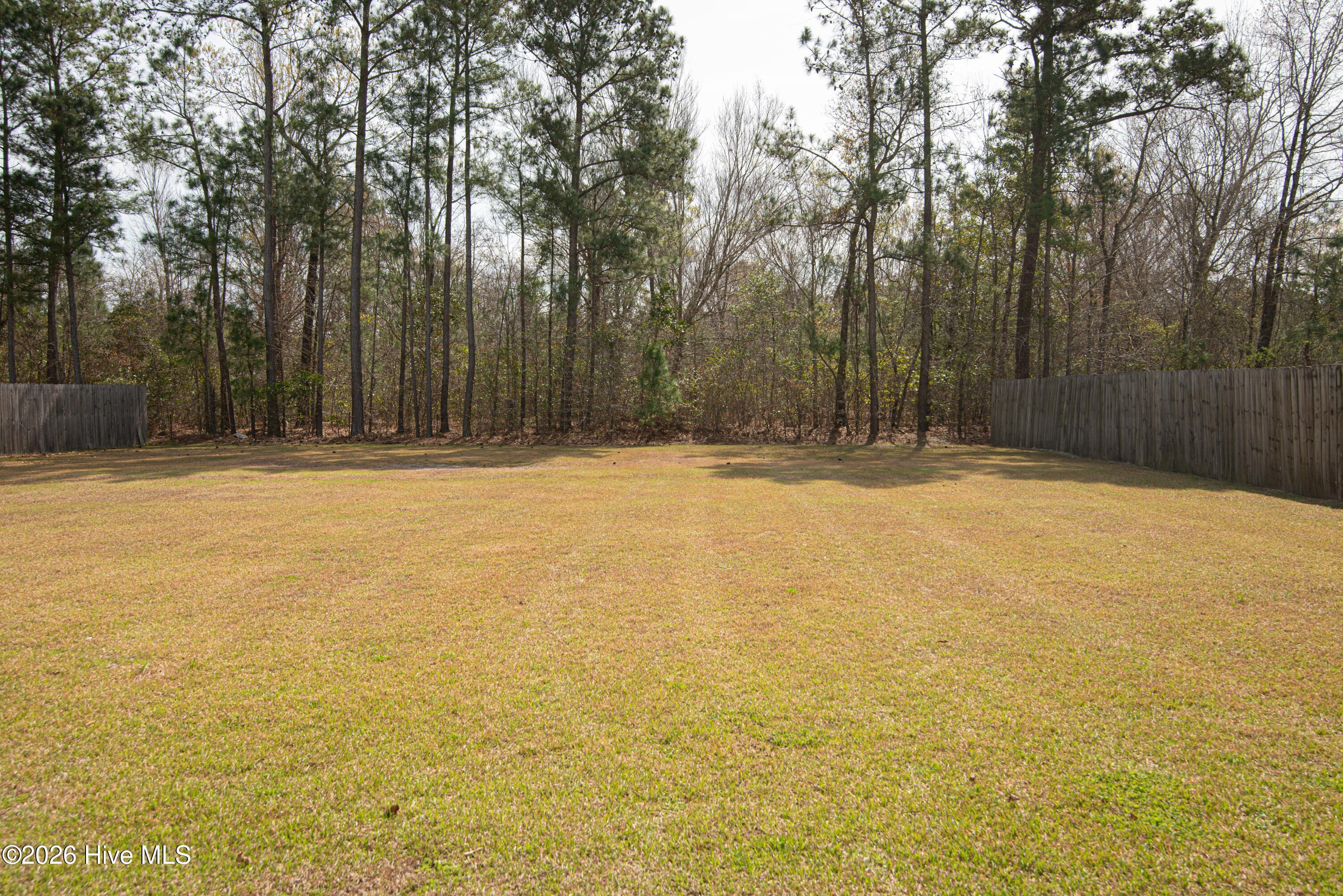 100564004 | Photo 48