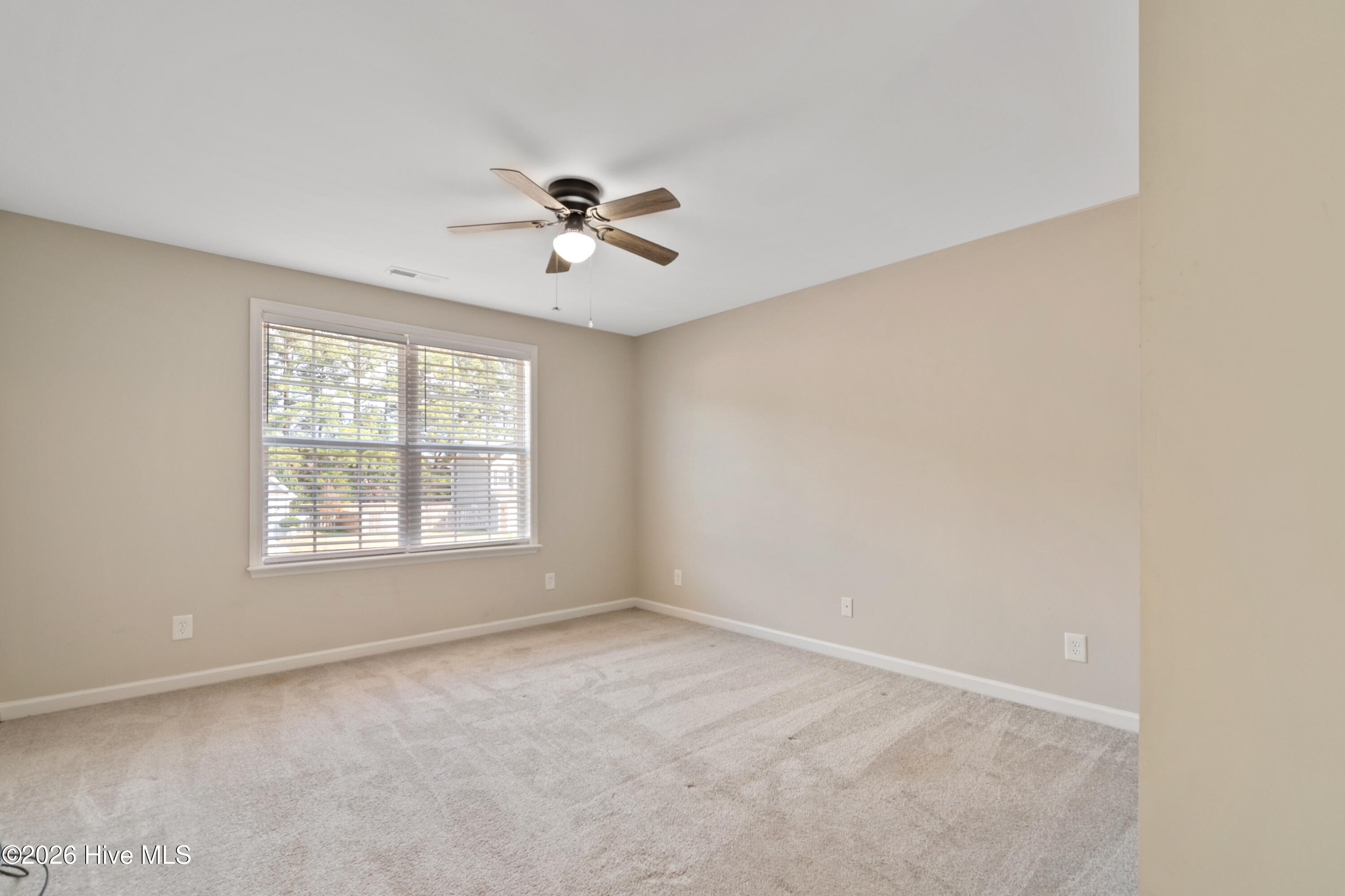 100551539 | Photo 20