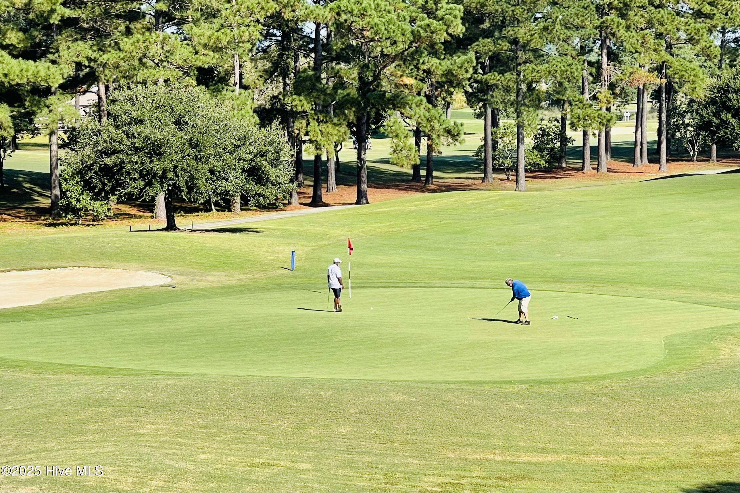 100517494 | Photo 38