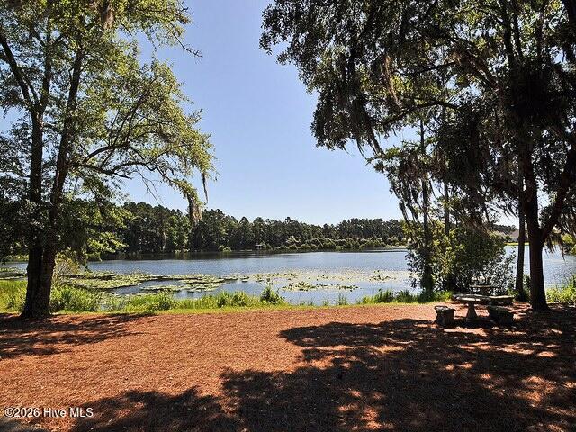 100565729 | Photo 75