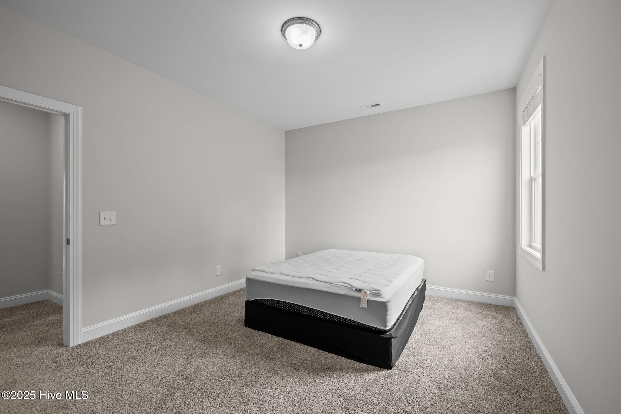 100526771 | Photo 33