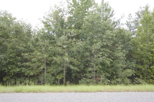 Bastonville Road, Gibson, GA 30810 Listing Photo  1