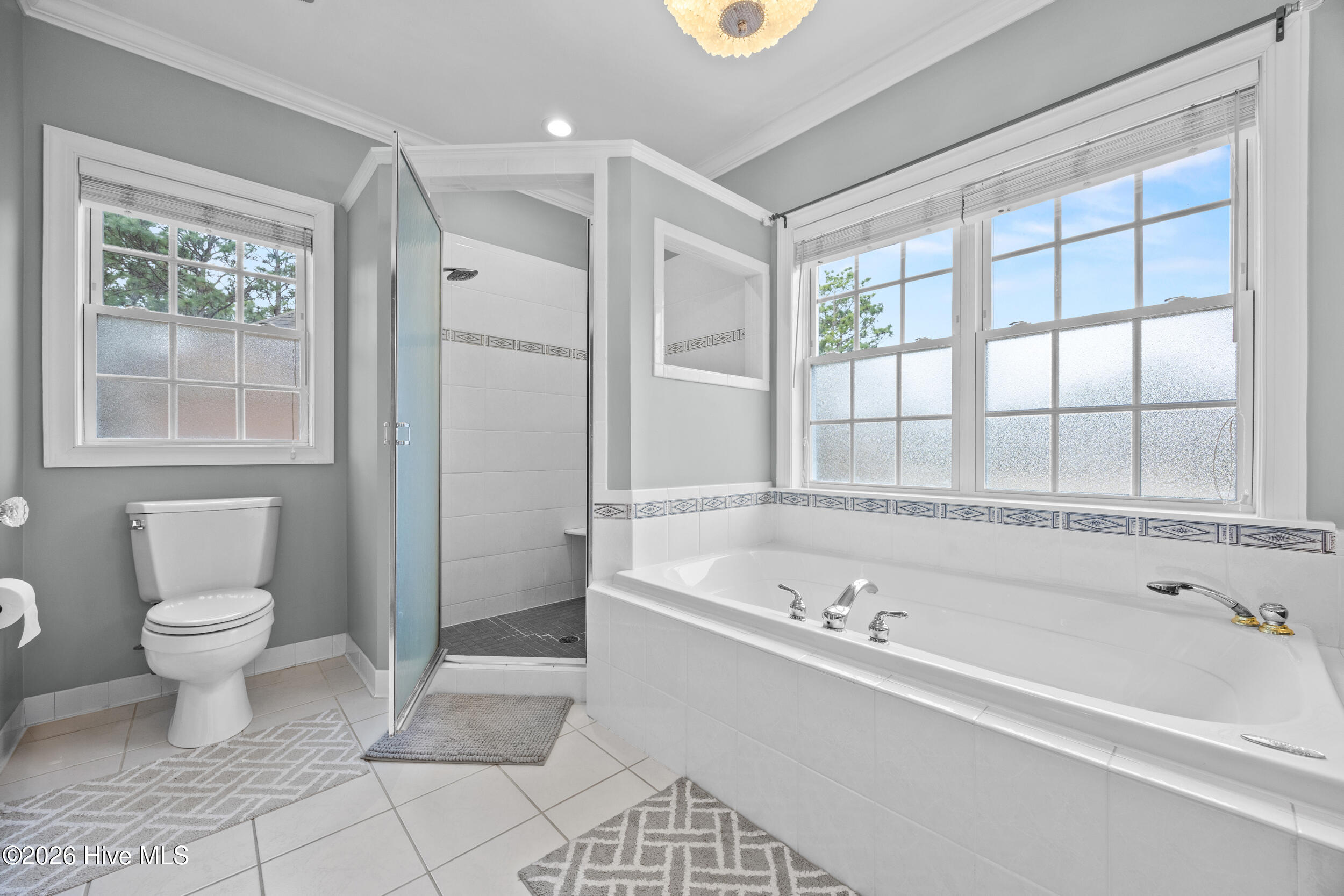 100555856 | Photo 21