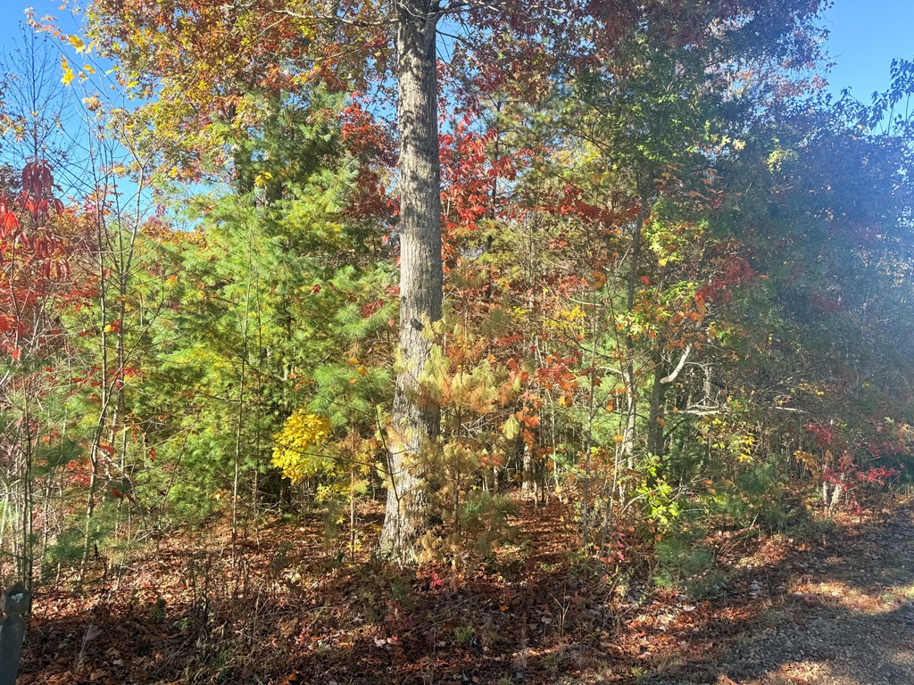 Exterior photo of Lot 25 Hideaway Ridge Drive, Murphy, NC 28906. MLS: 98525093
