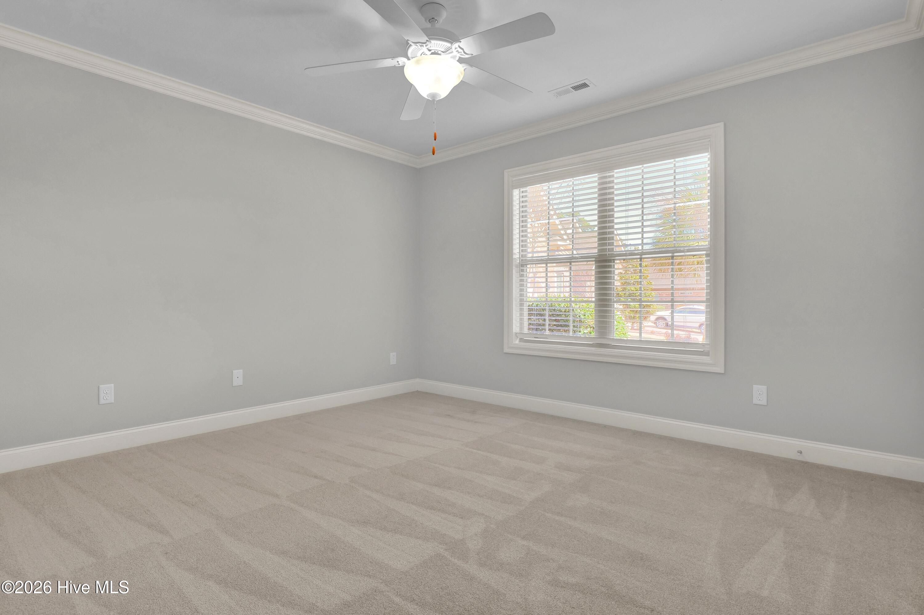 100560728 | Photo 17