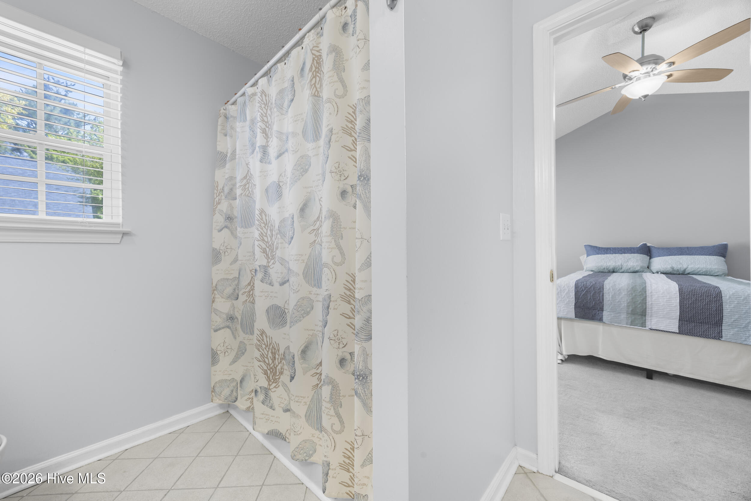 100565263 | Photo 26