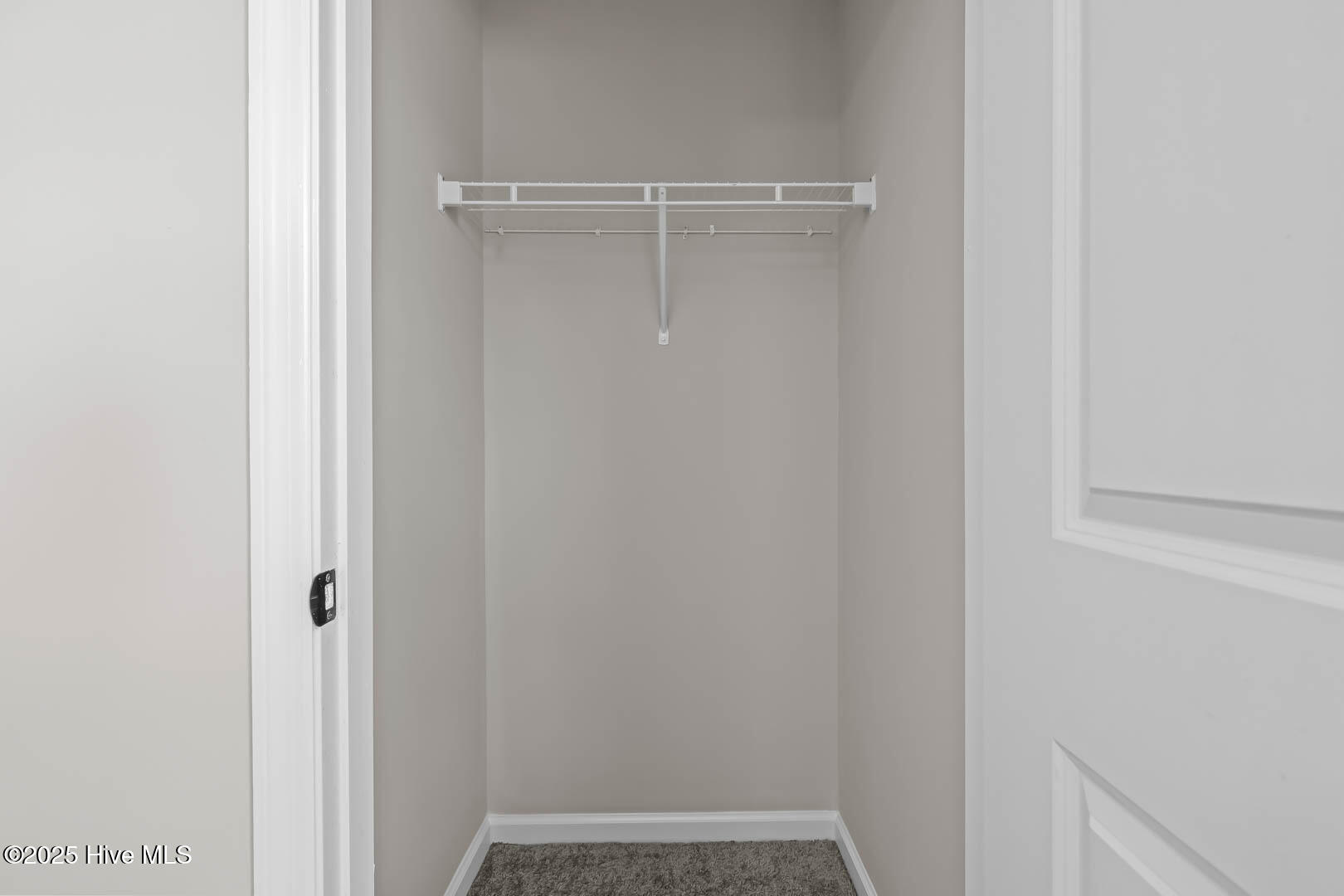 100522857 | Photo 23