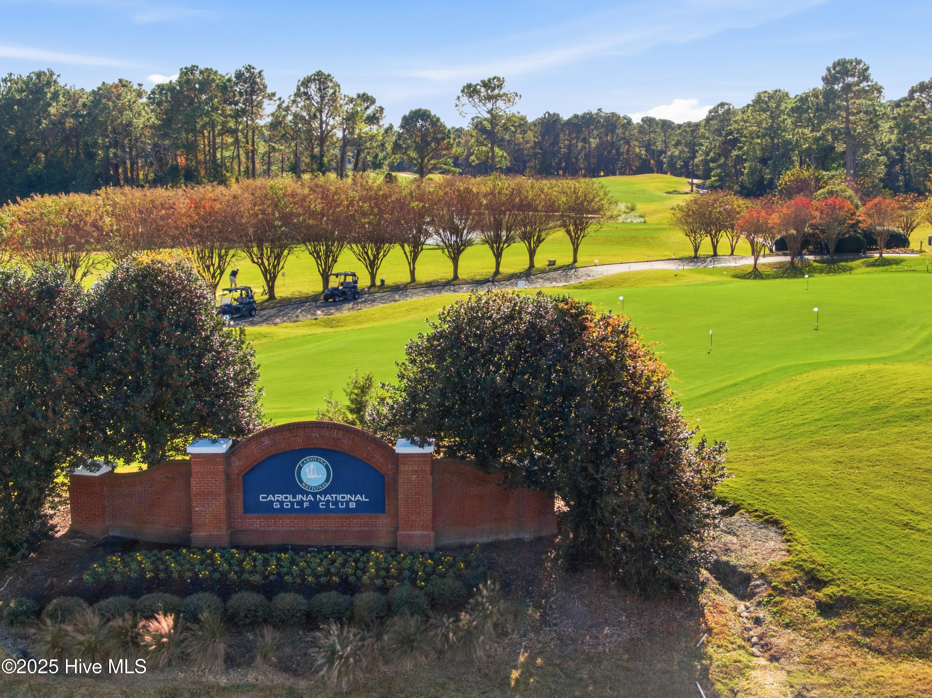 100538604 | Photo 39