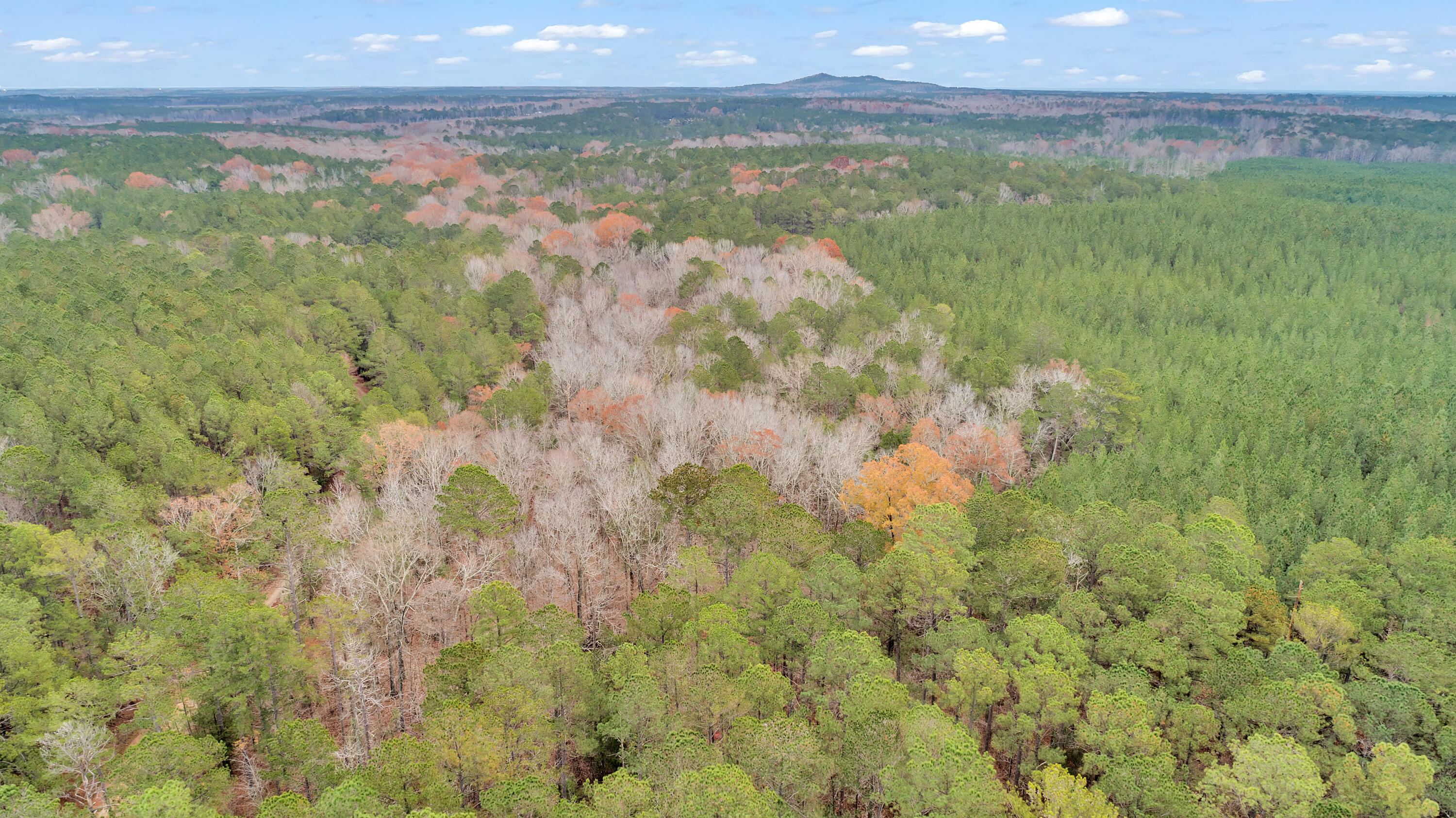 Saggus Rd land 121-007A, 200ft View, Dro