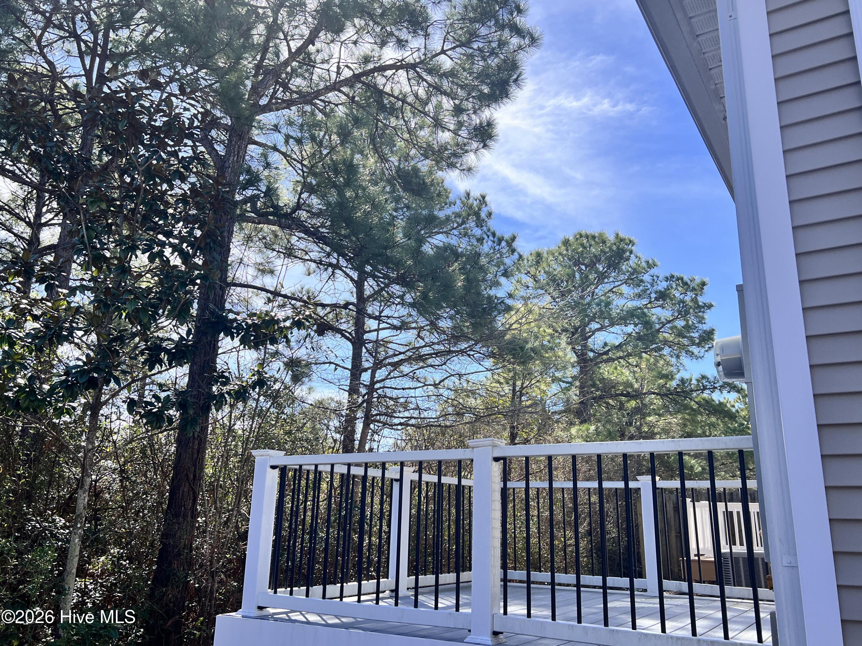 100555506 | Photo 23