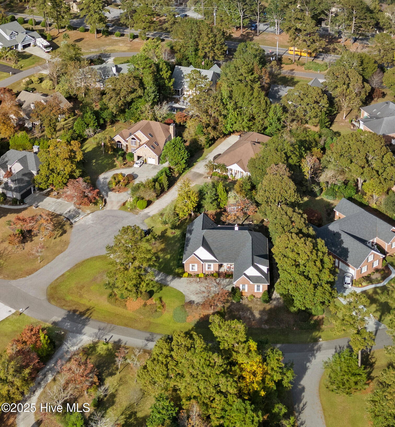 100516339 | Photo 60