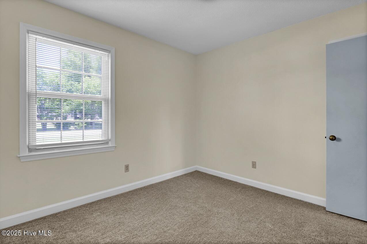 100507777 | Photo 19