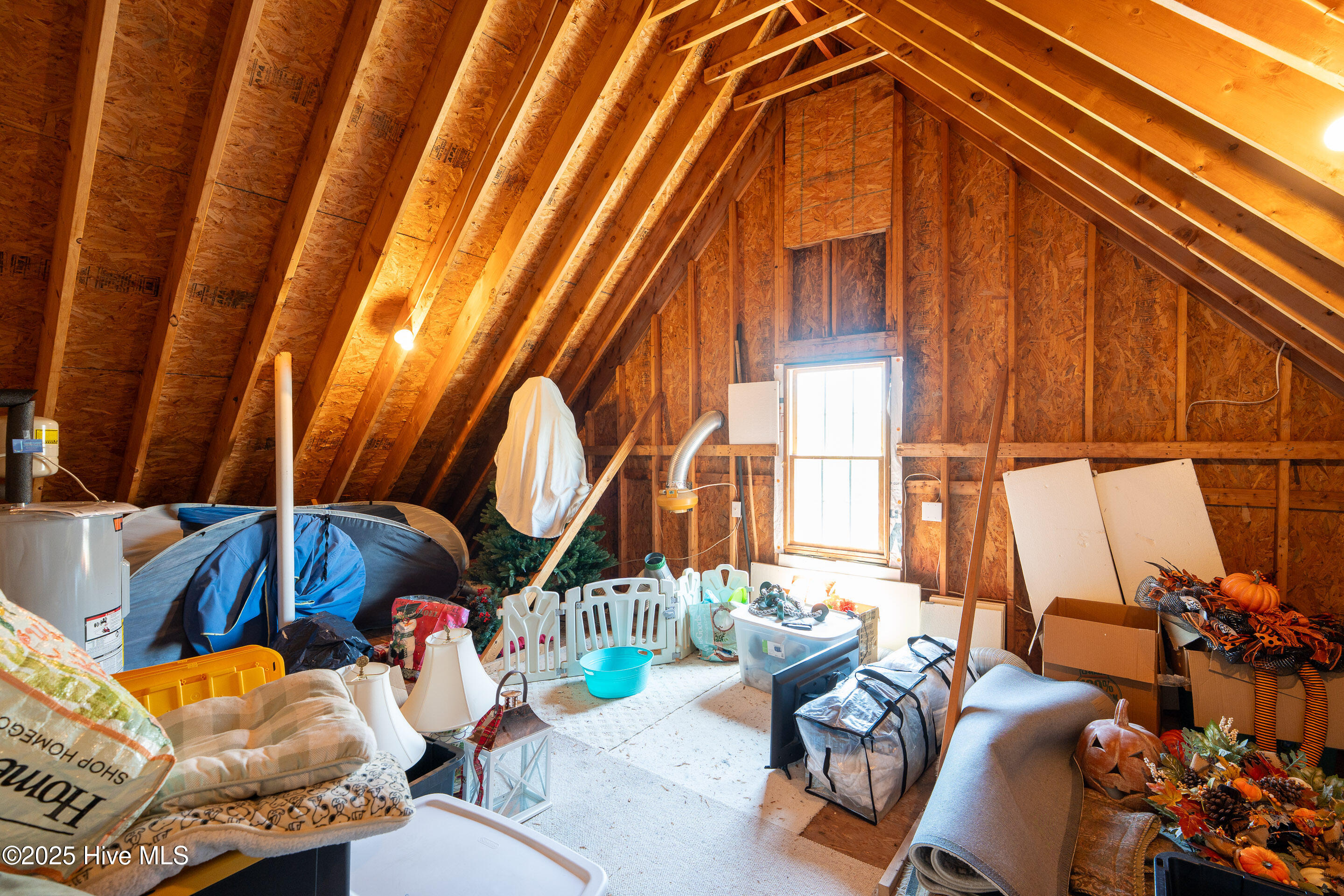 100520099 | Photo 63