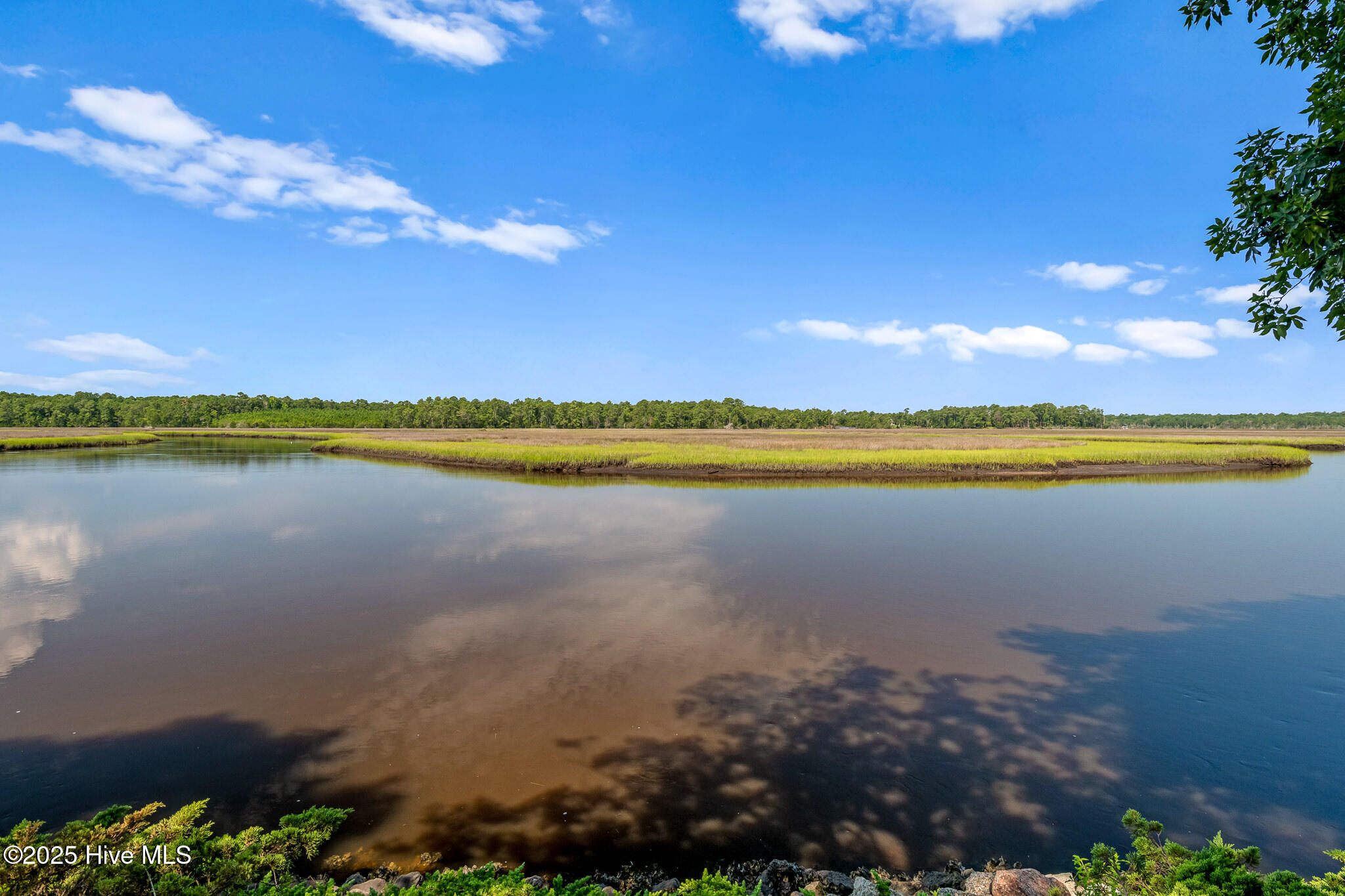 100530246 | Photo 50