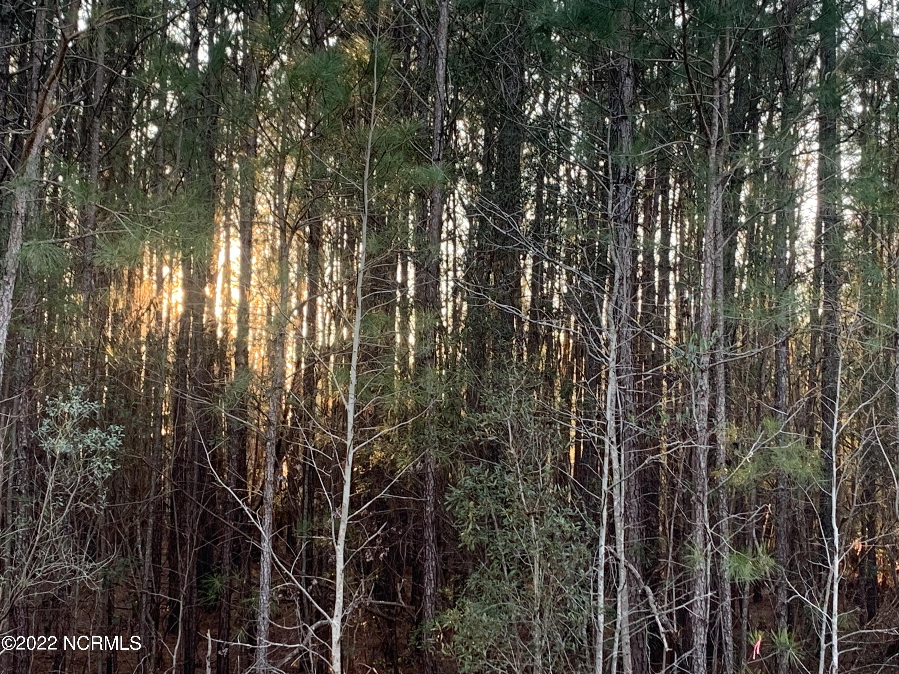 Wooded lot, waterfront.