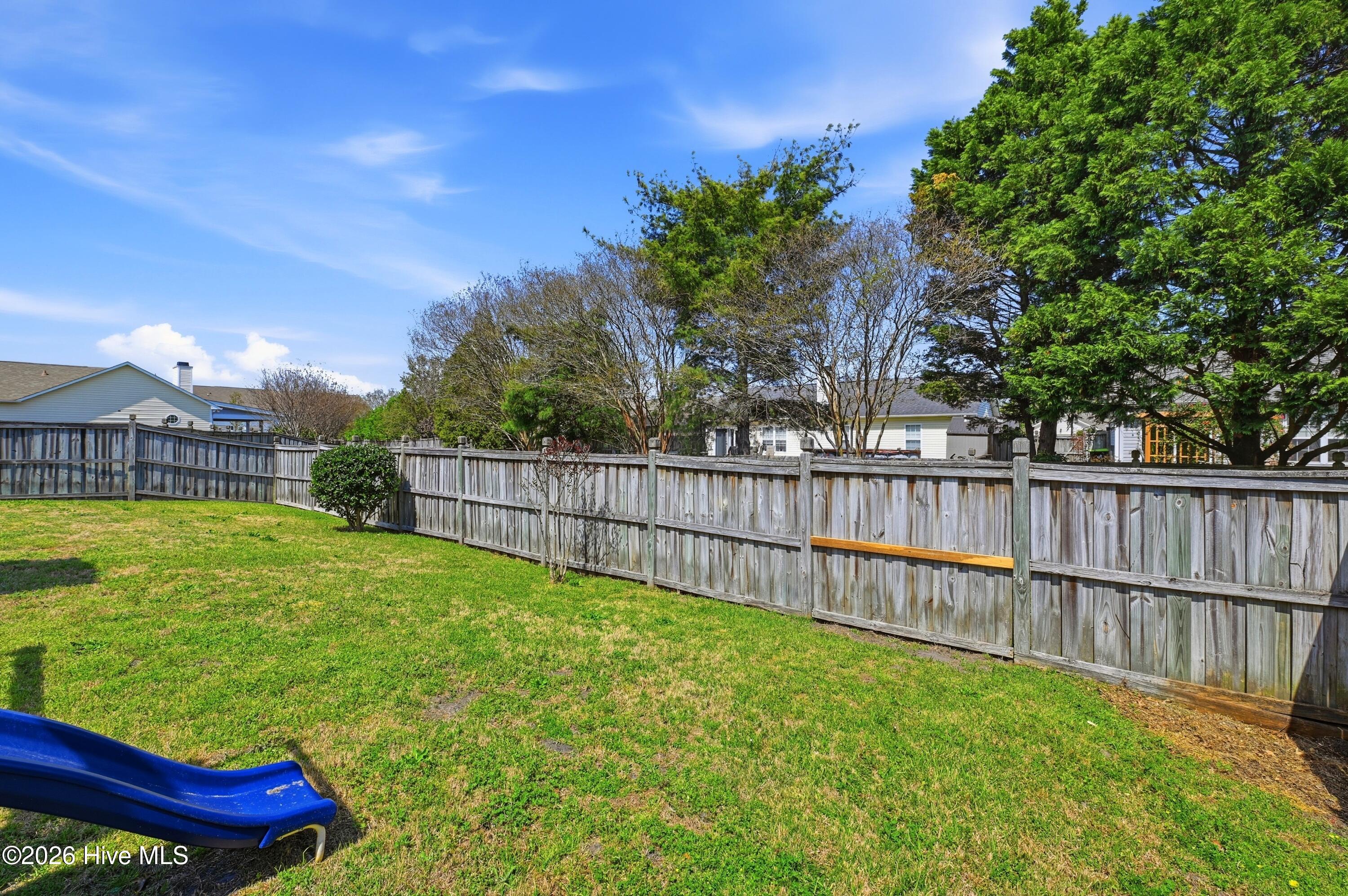 100564031 | Photo 35