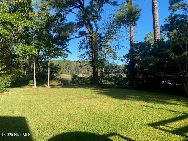 100529841 | Photo 18