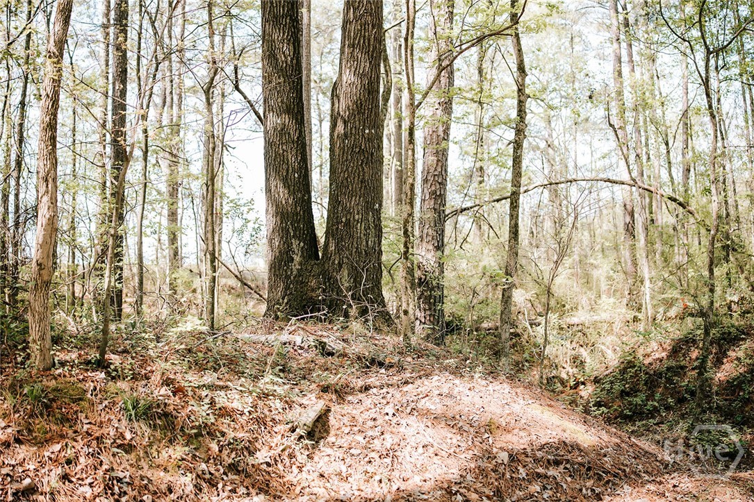 000 Union Point Road, Stephens, GA, 30667