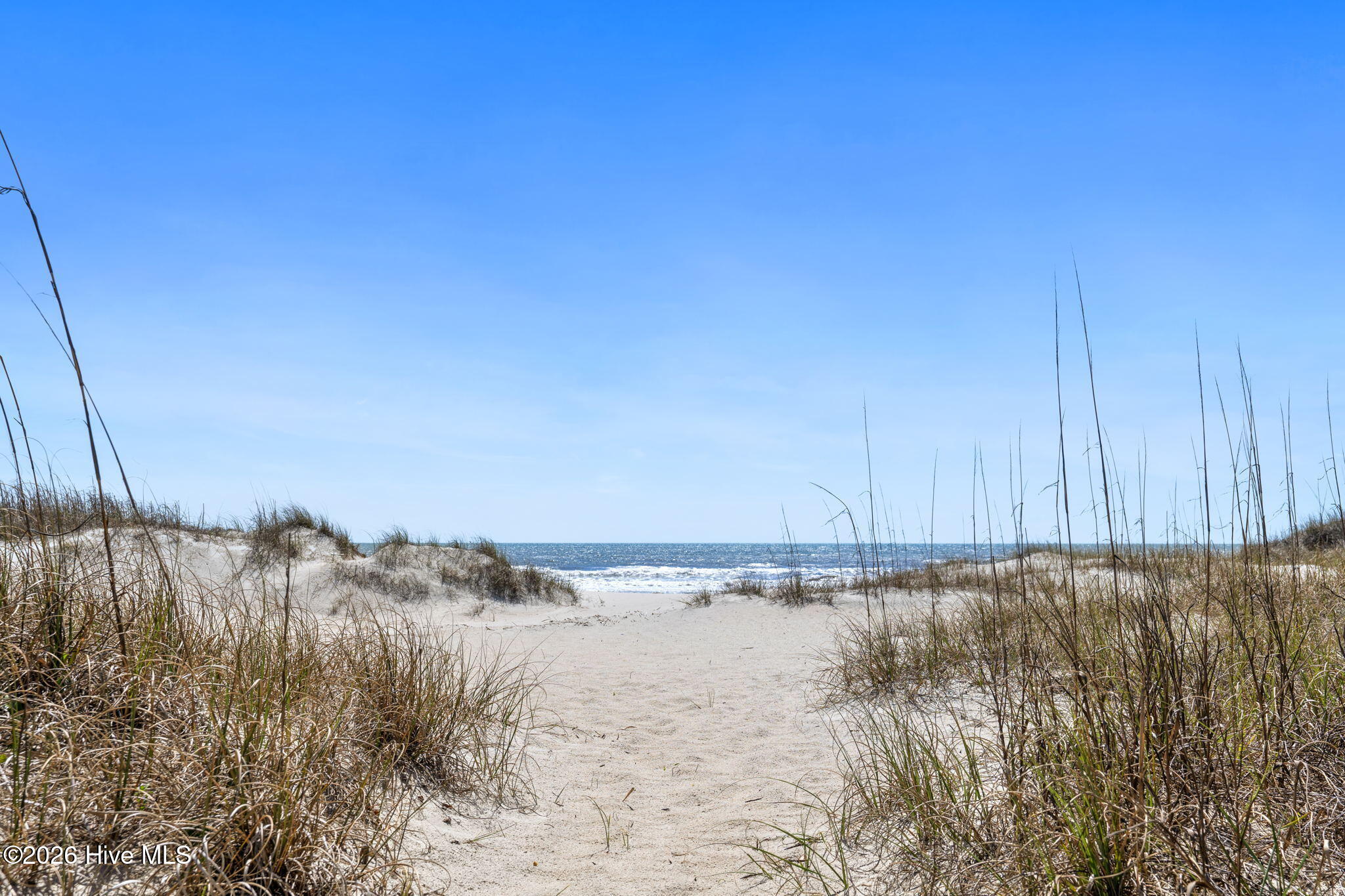 100561409 | Photo 34