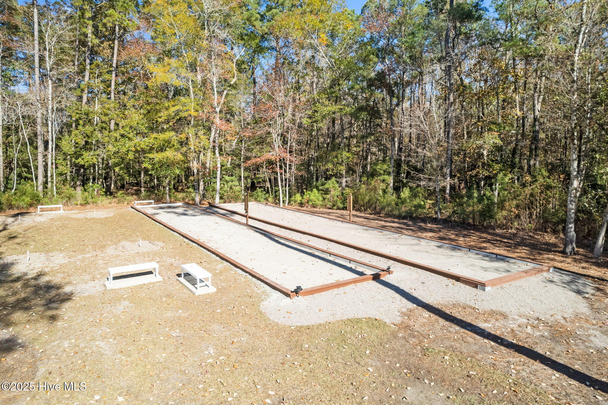 100518405 | Photo 101