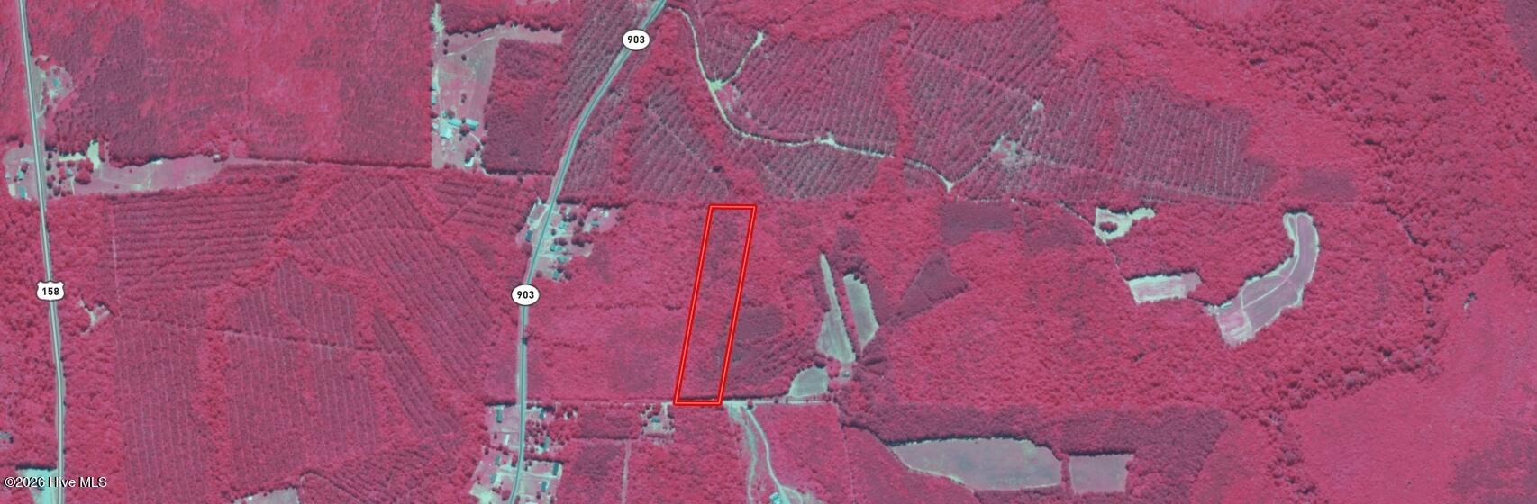 Homes for sale in Roanoke Rapids, NC | 0 Hwy 903, Roanoke Rapids, NC 27870 | MLS# 100553098