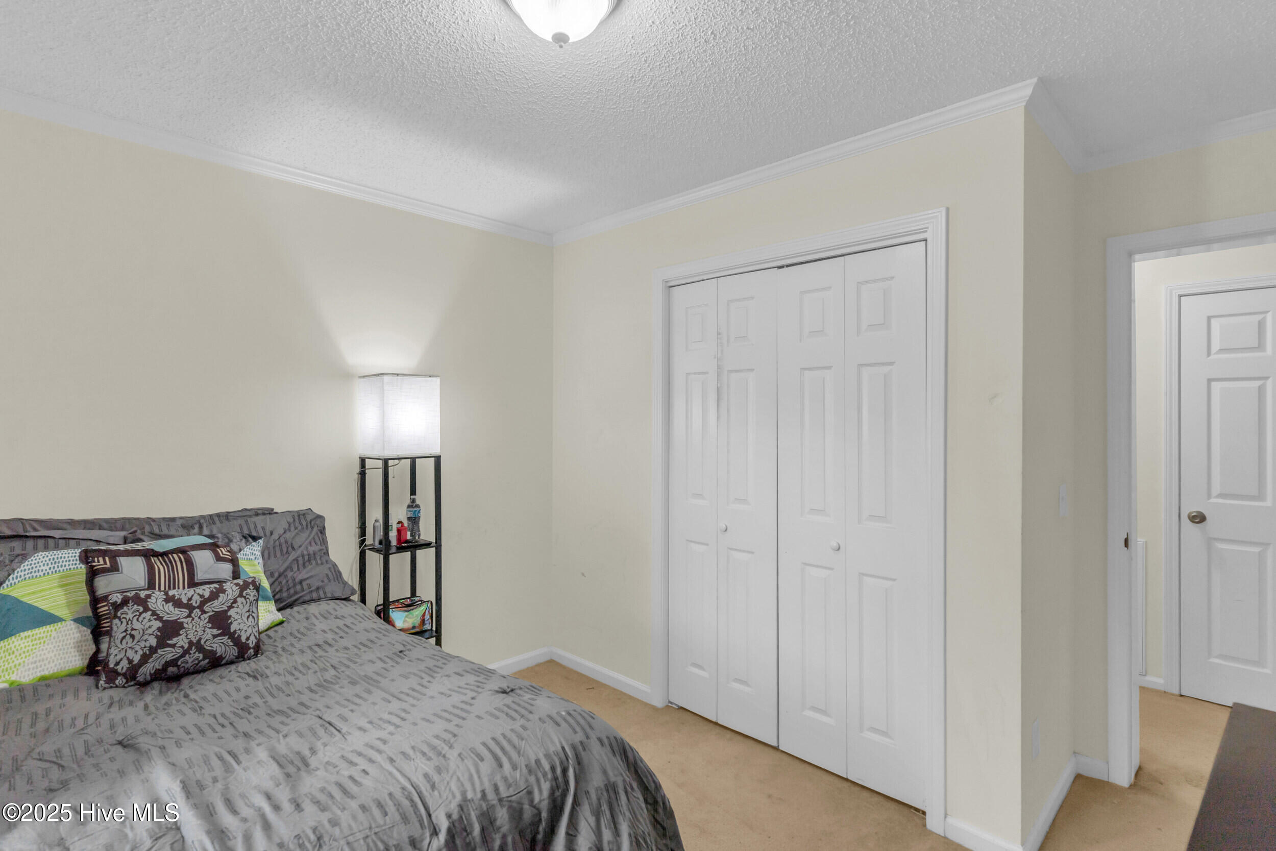 100537438 | Photo 22